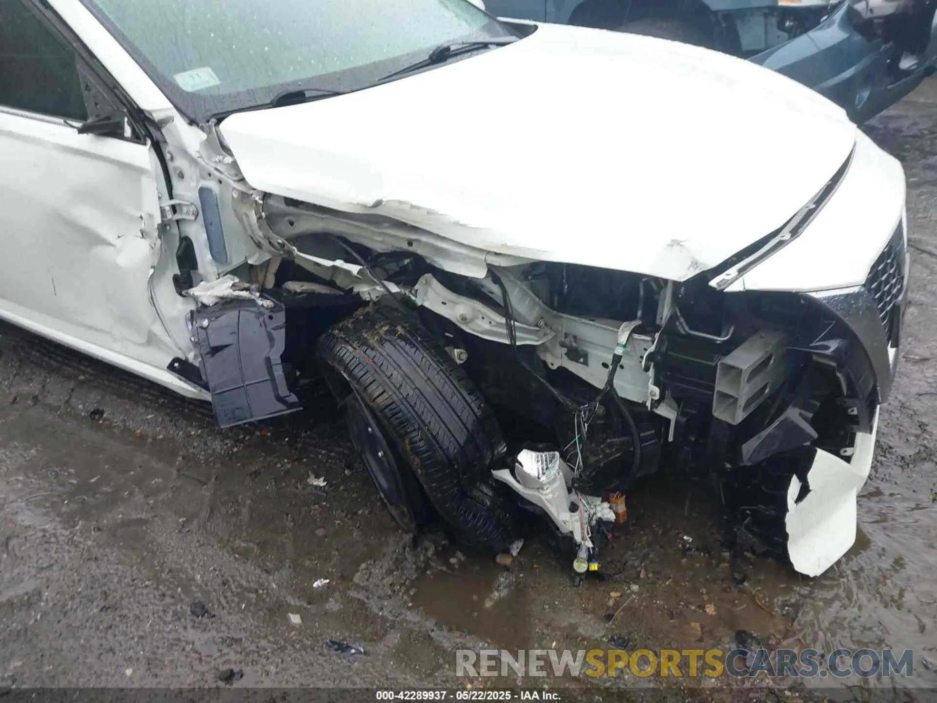 6 Photograph of a damaged car 1N4BL4BV0LC209991 NISSAN ALTIMA 2020