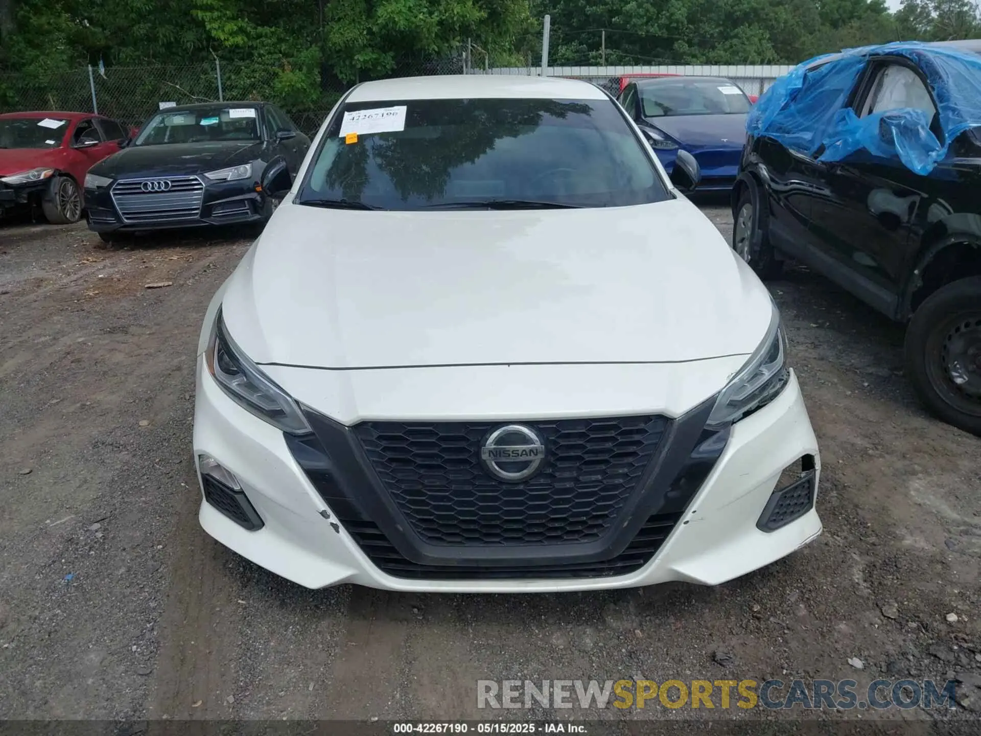 12 Photograph of a damaged car 1N4BL4CV9LC142631 NISSAN ALTIMA 2020
