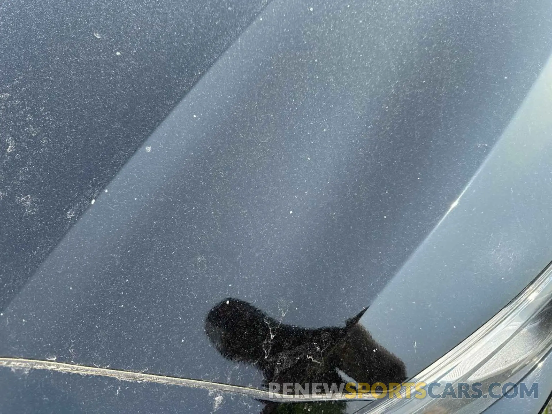 4 Photograph of a damaged car 1N4BL4BV0MN393433 NISSAN ALTIMA 2021