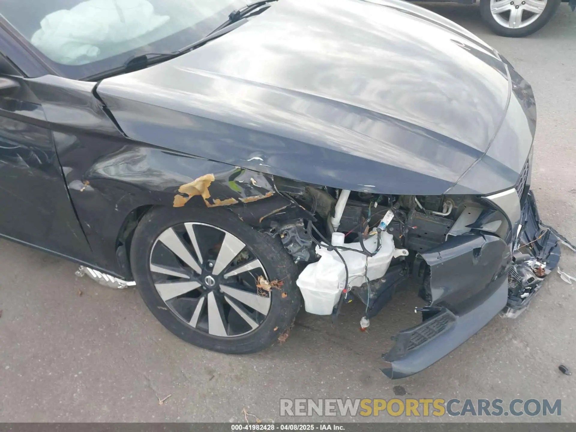6 Photograph of a damaged car 1N4BL4DV0MN318955 NISSAN ALTIMA 2021