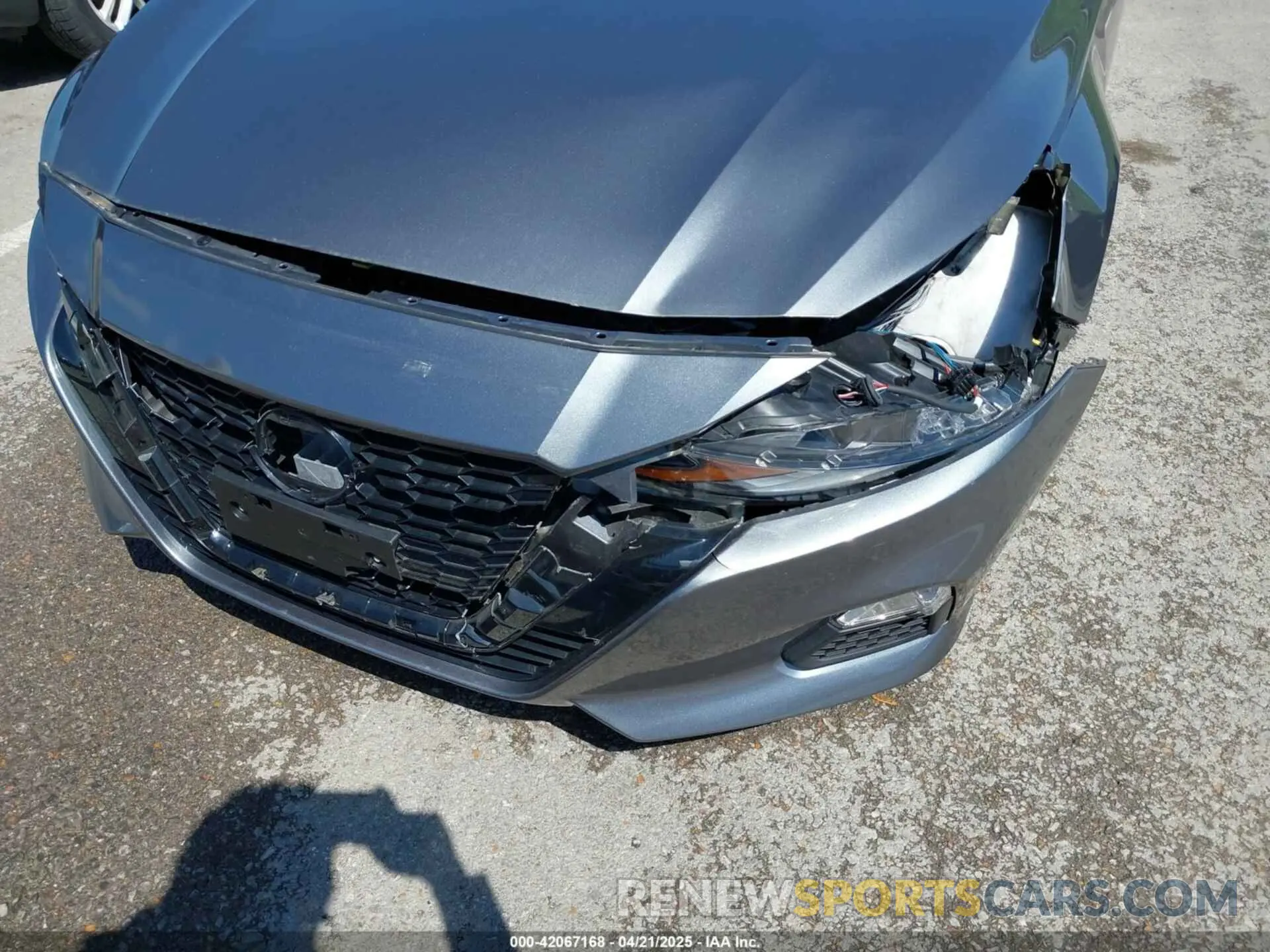6 Photograph of a damaged car 1N4BL4DV1MN401973 NISSAN ALTIMA 2021
