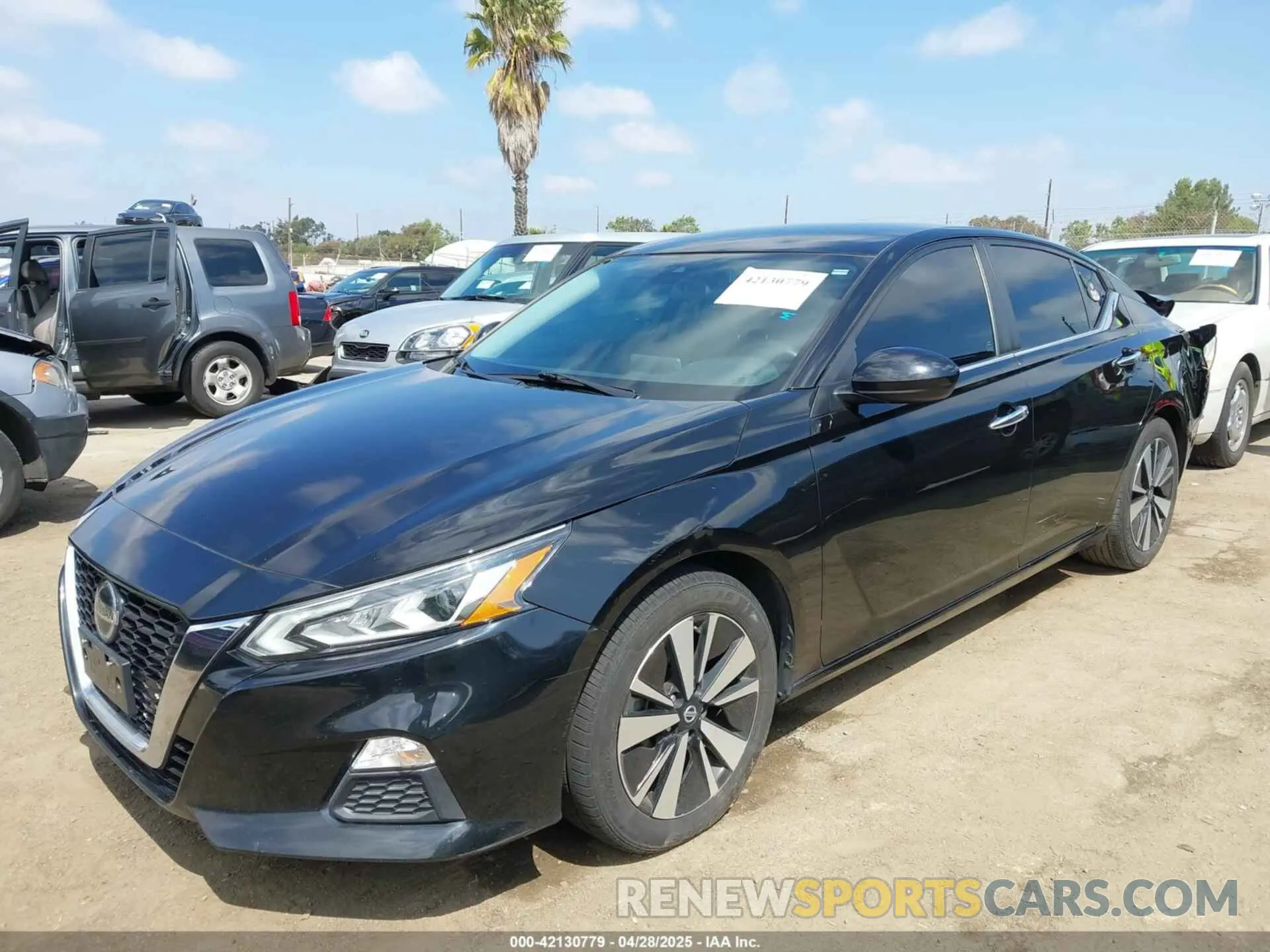2 Photograph of a damaged car 1N4BL4DV4MN361842 NISSAN ALTIMA 2021