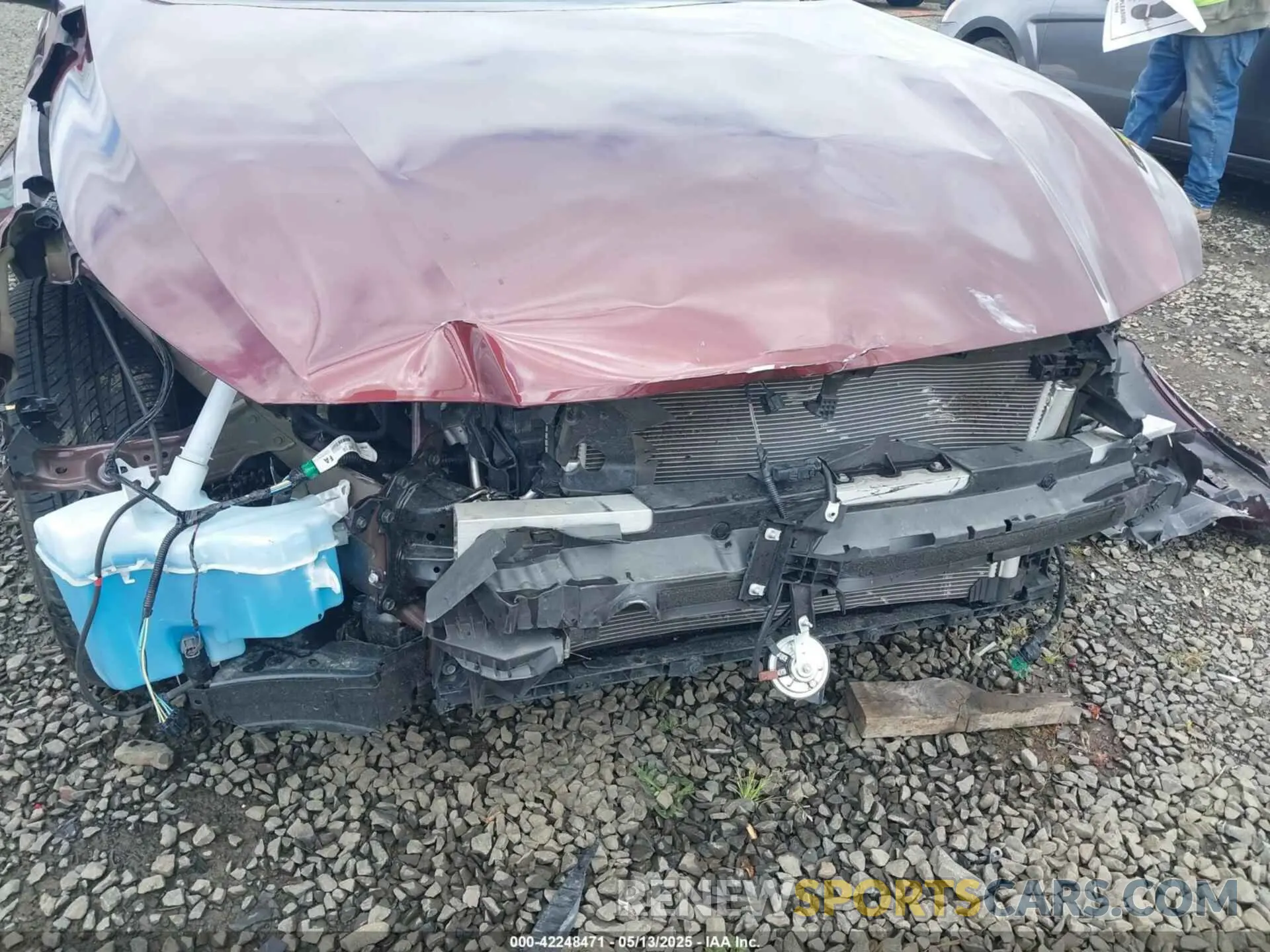6 Photograph of a damaged car 1N4BL4DV4RN321591 NISSAN ALTIMA 2024