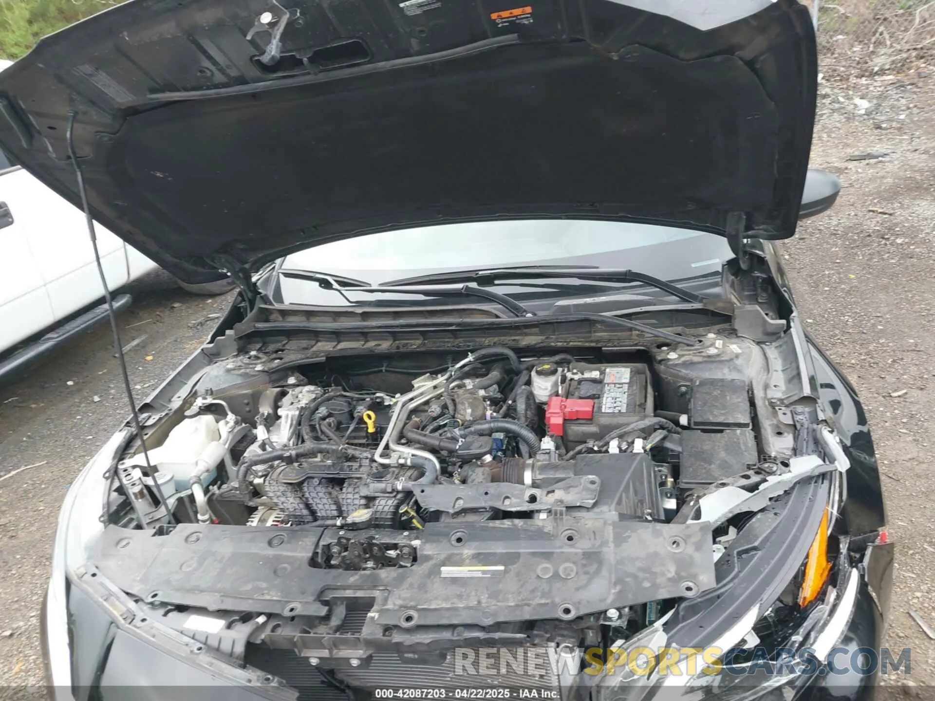 10 Photograph of a damaged car 1N4BL4DV7RN386256 NISSAN ALTIMA 2024