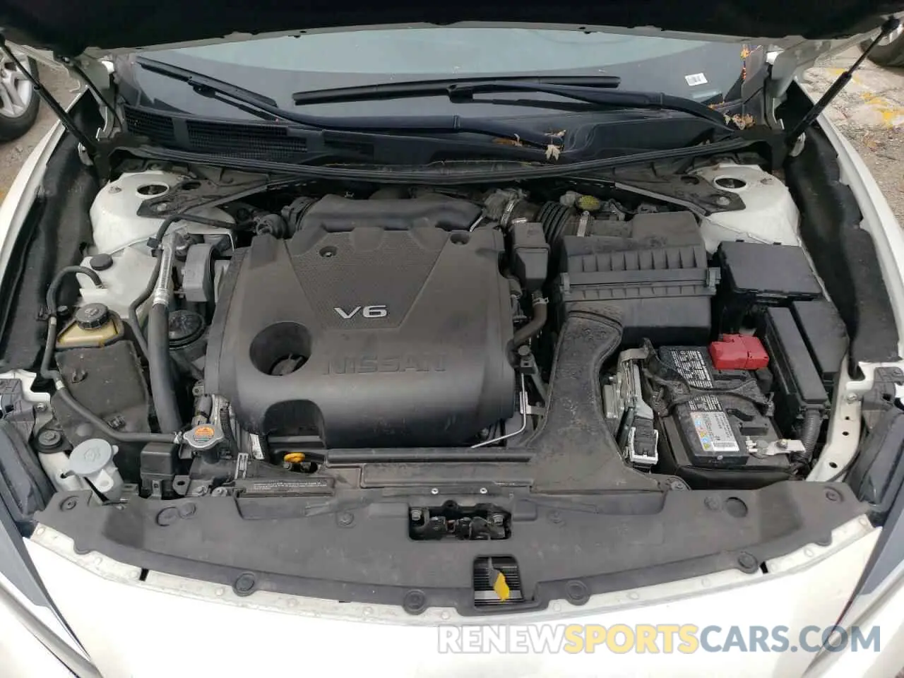11 Photograph of a damaged car 1N4AA6AV1KC366409 NISSAN MAXIMA 2019
