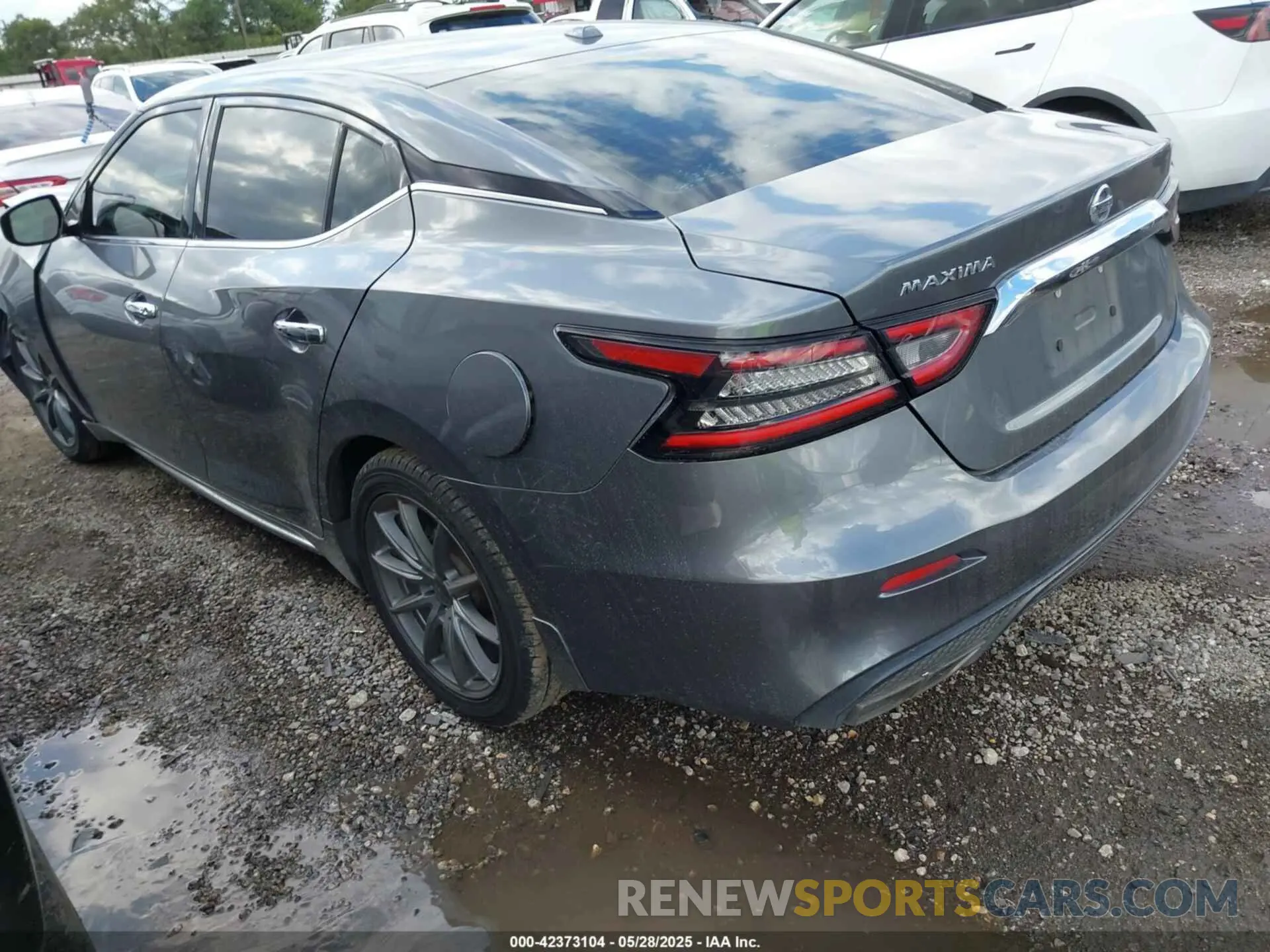 3 Photograph of a damaged car 1N4AA6AV1KC371237 NISSAN MAXIMA 2019