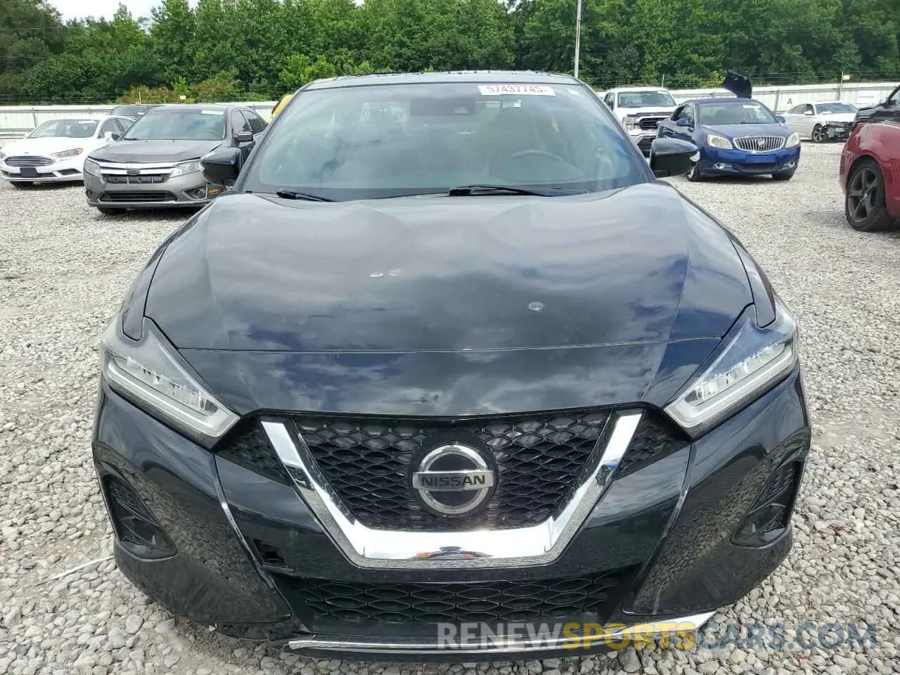 5 Фотография поврежденного автомобиля 1N4AA6AV1KC373425 NISSAN MAXIMA 2019