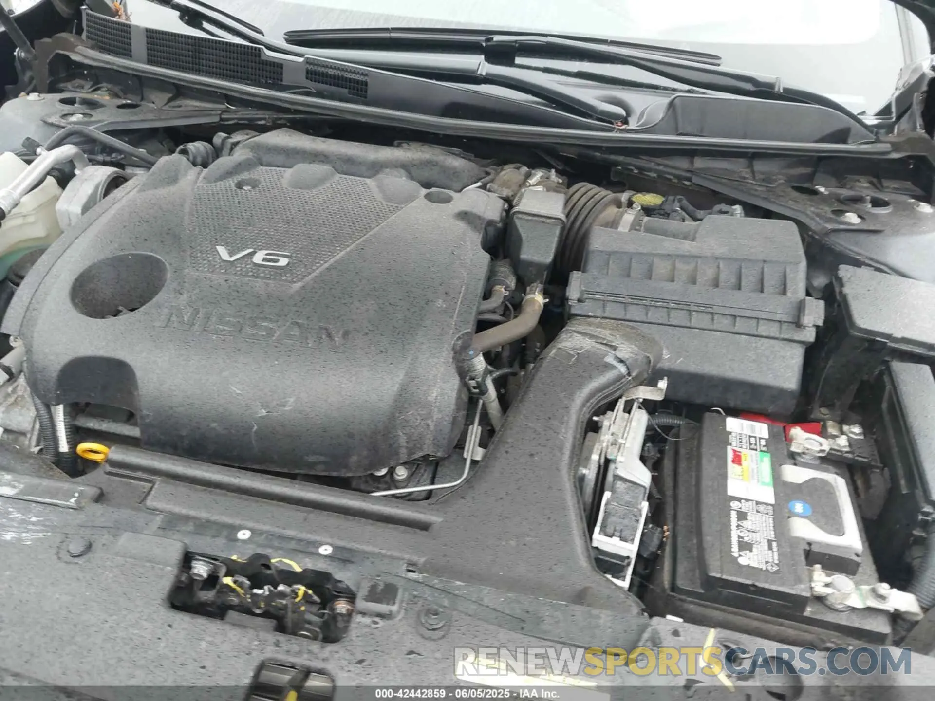 10 Фотография поврежденного автомобиля 1N4AA6AV1KC379113 NISSAN MAXIMA 2019