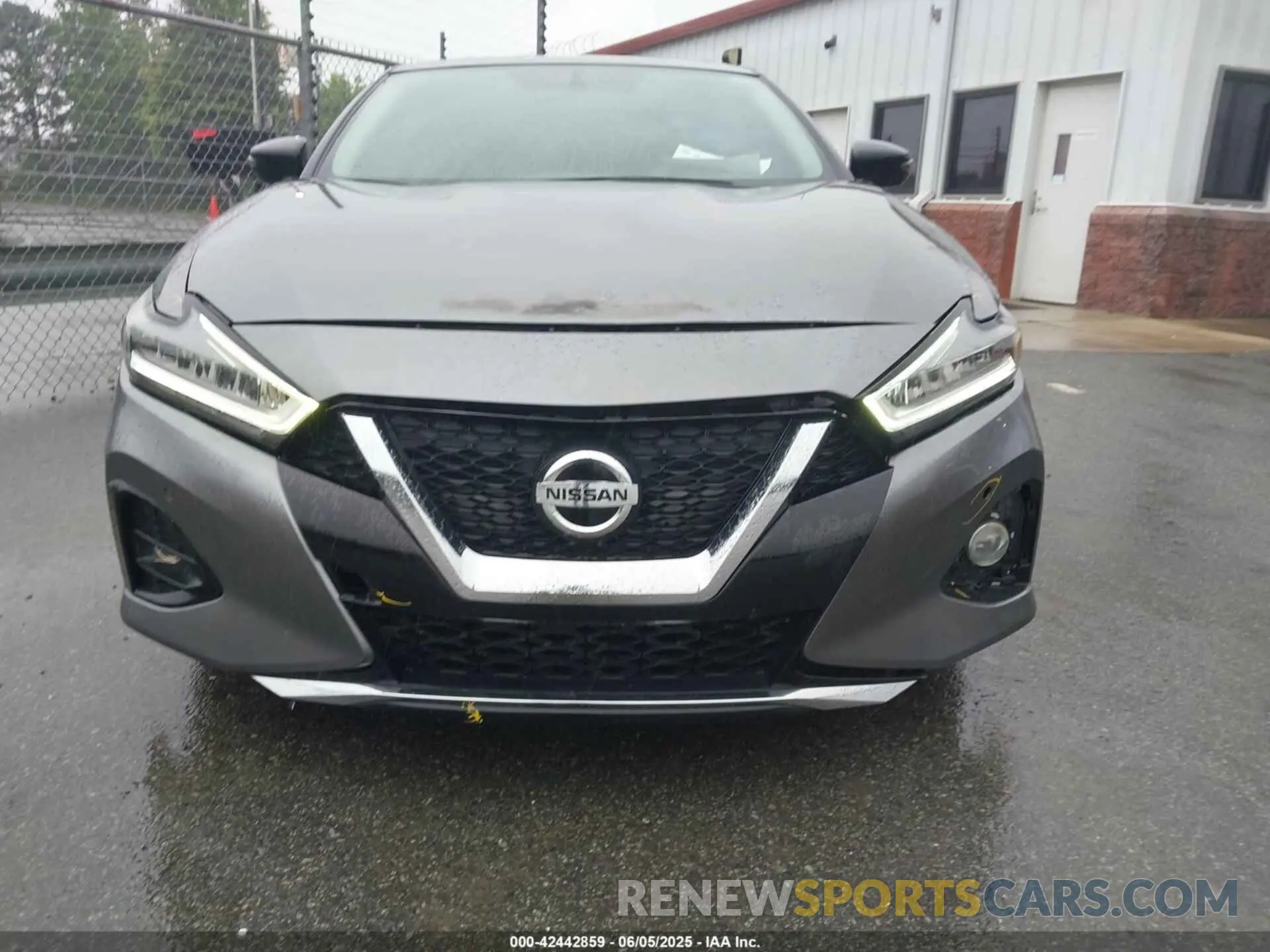 12 Фотография поврежденного автомобиля 1N4AA6AV1KC379113 NISSAN MAXIMA 2019
