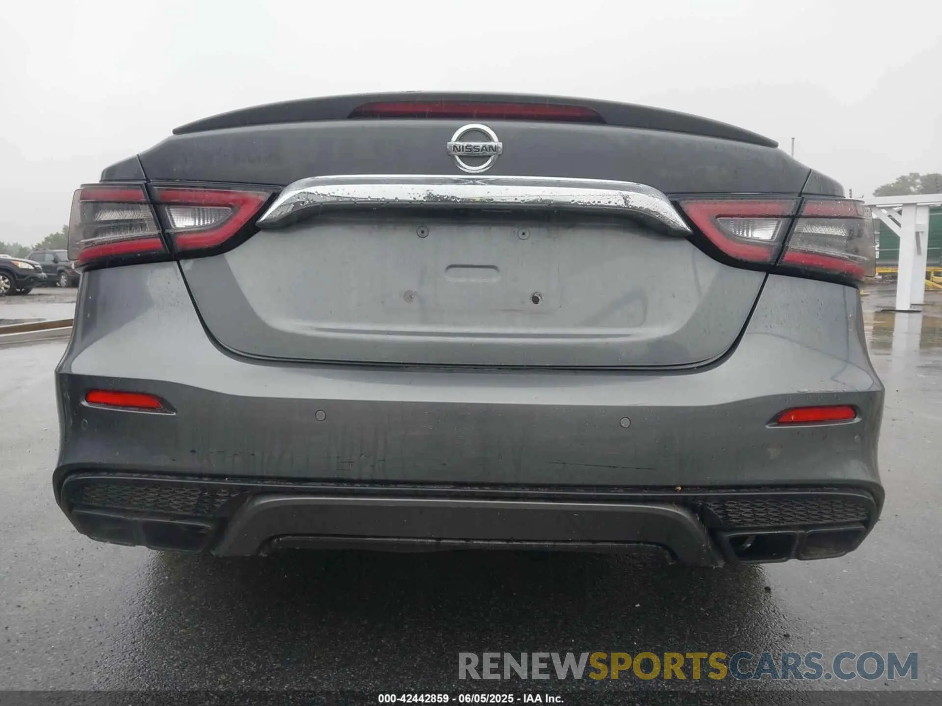 16 Фотография поврежденного автомобиля 1N4AA6AV1KC379113 NISSAN MAXIMA 2019