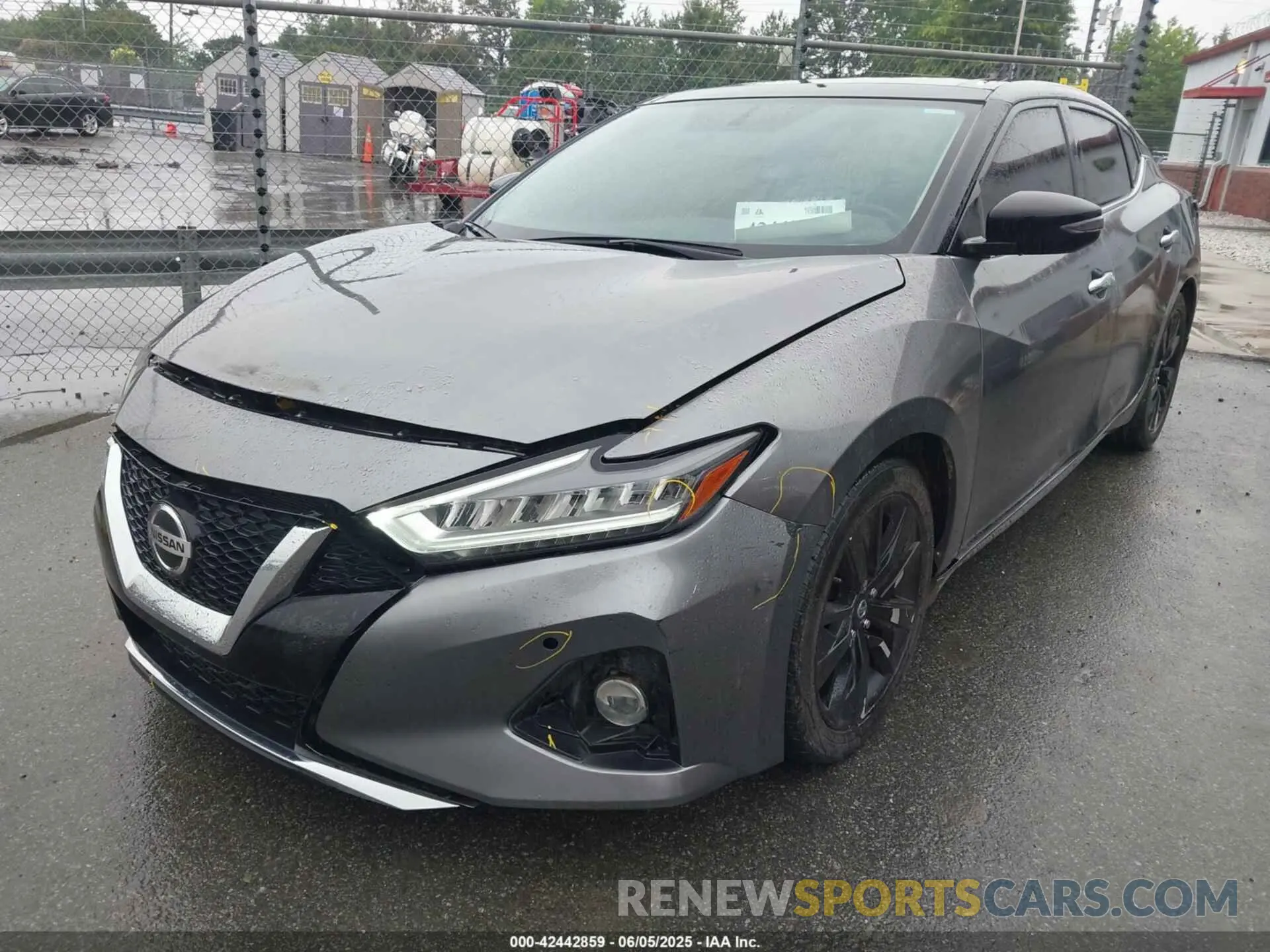 6 Фотография поврежденного автомобиля 1N4AA6AV1KC379113 NISSAN MAXIMA 2019