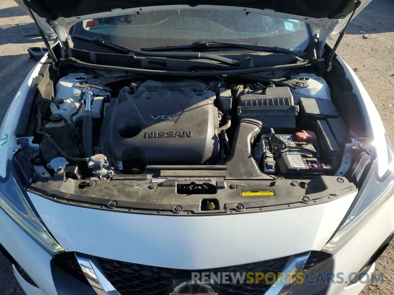 11 Photograph of a damaged car 1N4AA6AV2KC367469 NISSAN MAXIMA 2019
