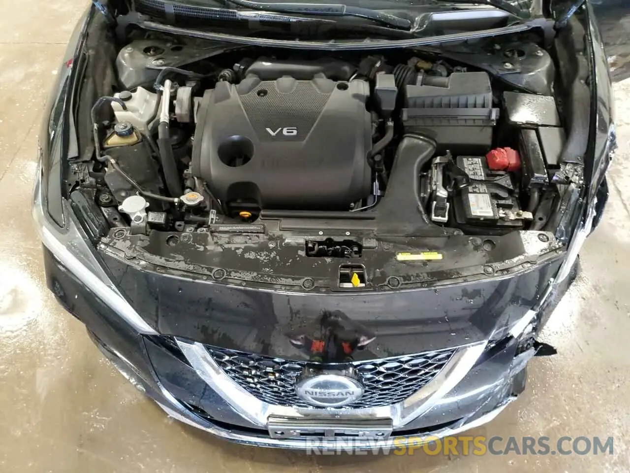 11 Photograph of a damaged car 1N4AA6AV2KC373448 NISSAN MAXIMA 2019