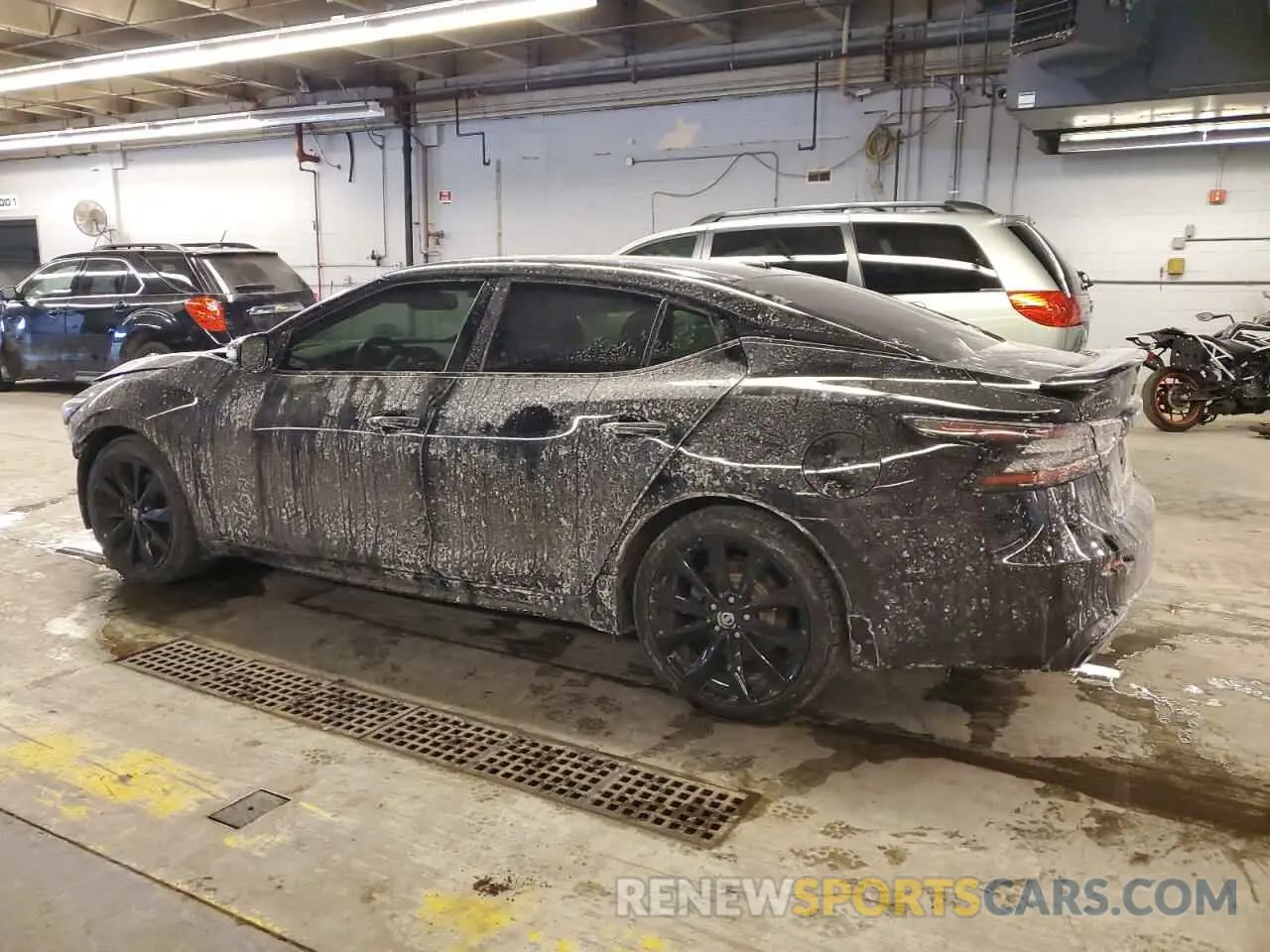 2 Фотография поврежденного автомобиля 1N4AA6AV2KC374535 NISSAN MAXIMA 2019