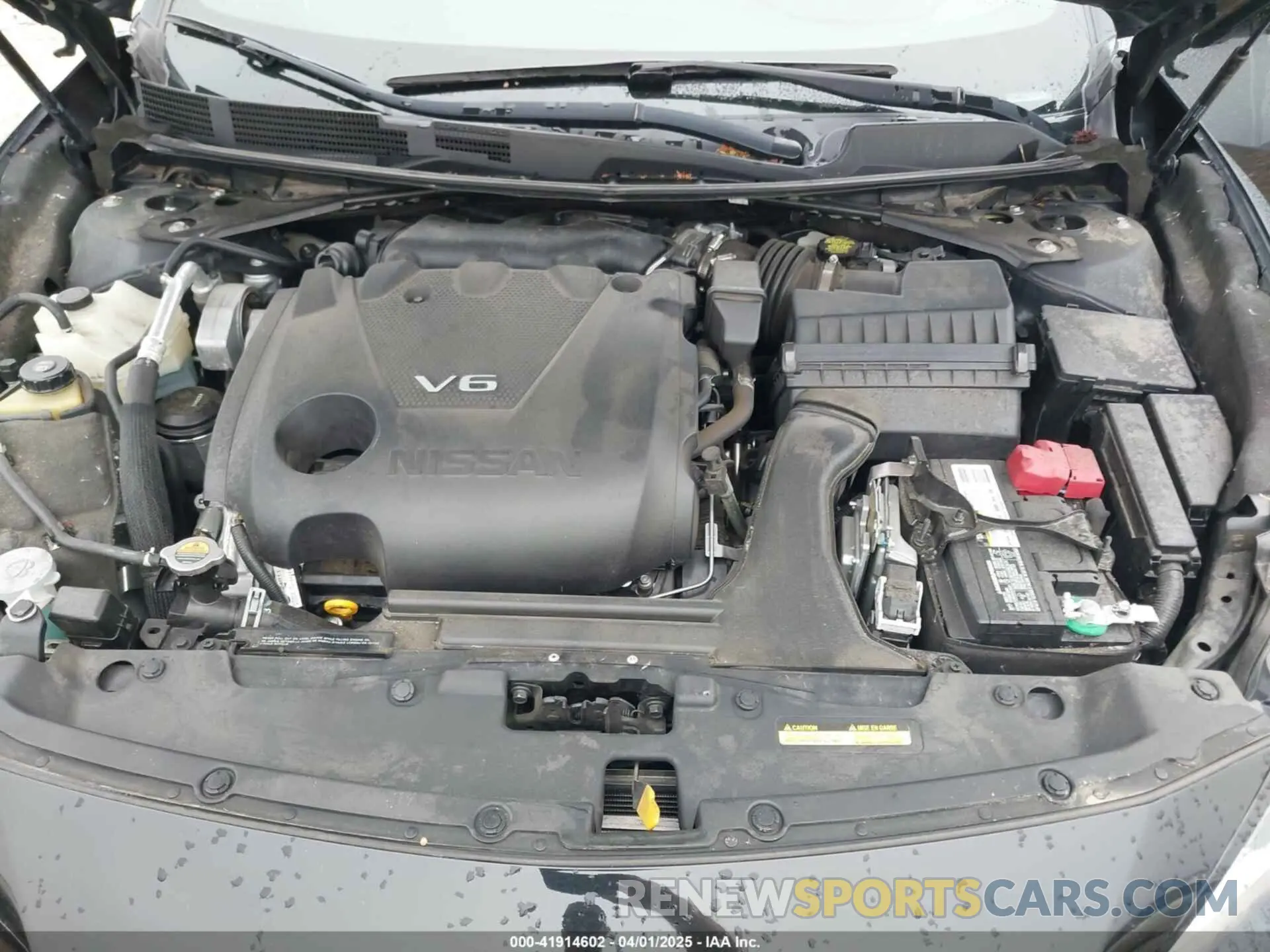 10 Photograph of a damaged car 1N4AA6AV2KC379623 NISSAN MAXIMA 2019