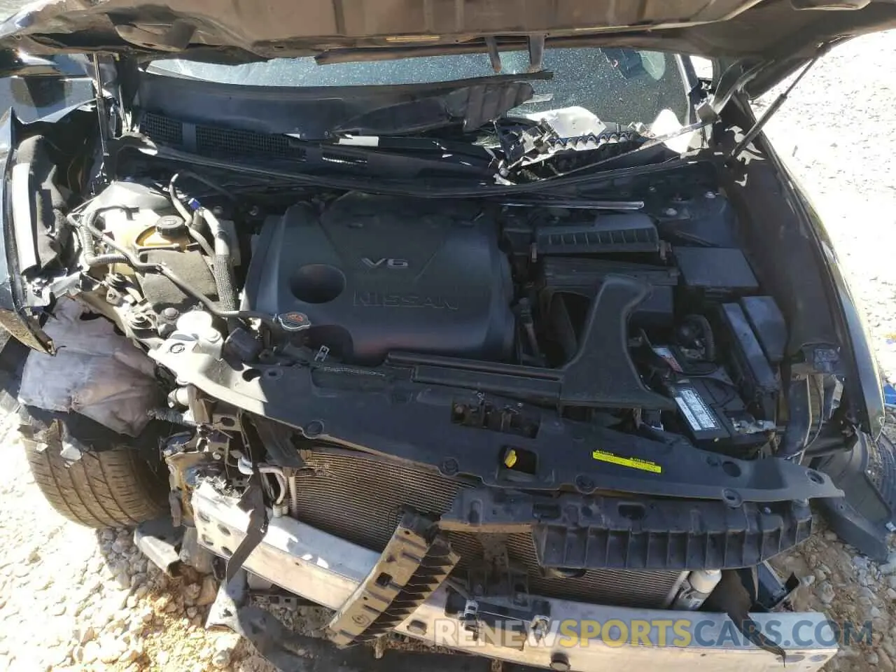 13 Photograph of a damaged car 1N4AA6AV3KC369215 NISSAN MAXIMA 2019