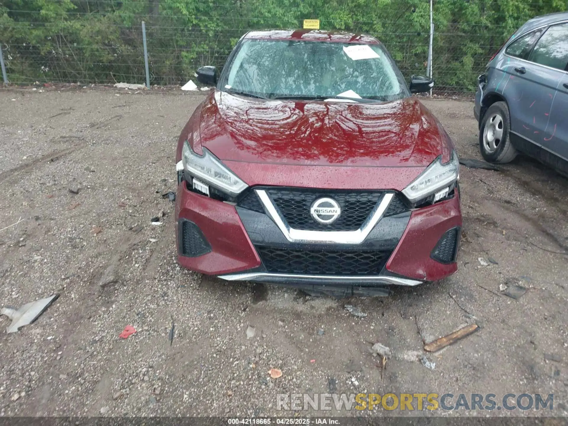 6 Photograph of a damaged car 1N4AA6AV4KC361687 NISSAN MAXIMA 2019