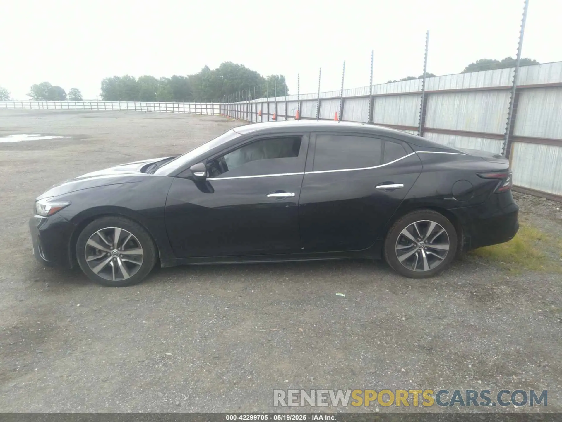 14 Фотография поврежденного автомобиля 1N4AA6AV4KC366176 NISSAN MAXIMA 2019
