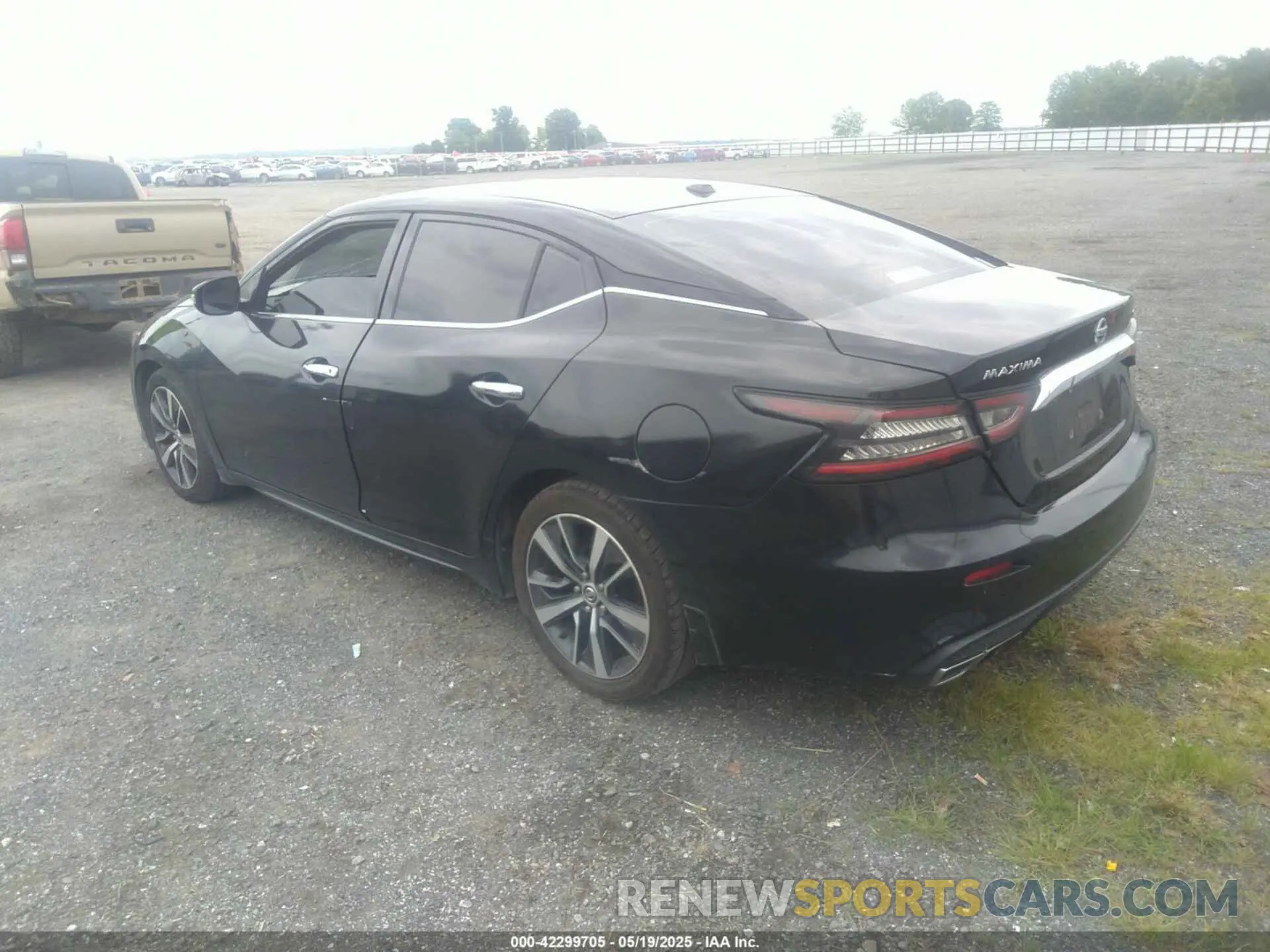 3 Фотография поврежденного автомобиля 1N4AA6AV4KC366176 NISSAN MAXIMA 2019