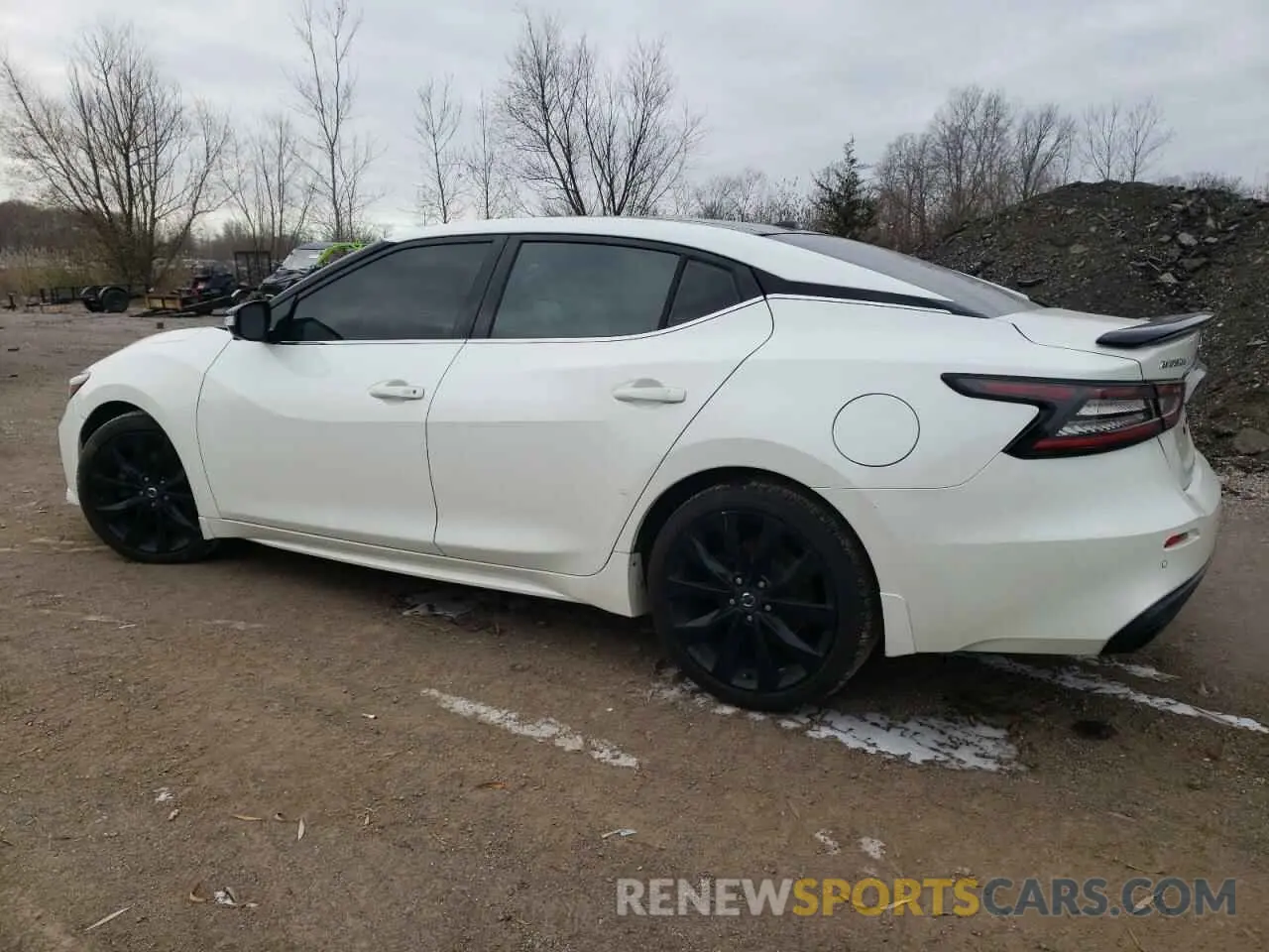 2 Фотография поврежденного автомобиля 1N4AA6AV4KC376867 NISSAN MAXIMA 2019