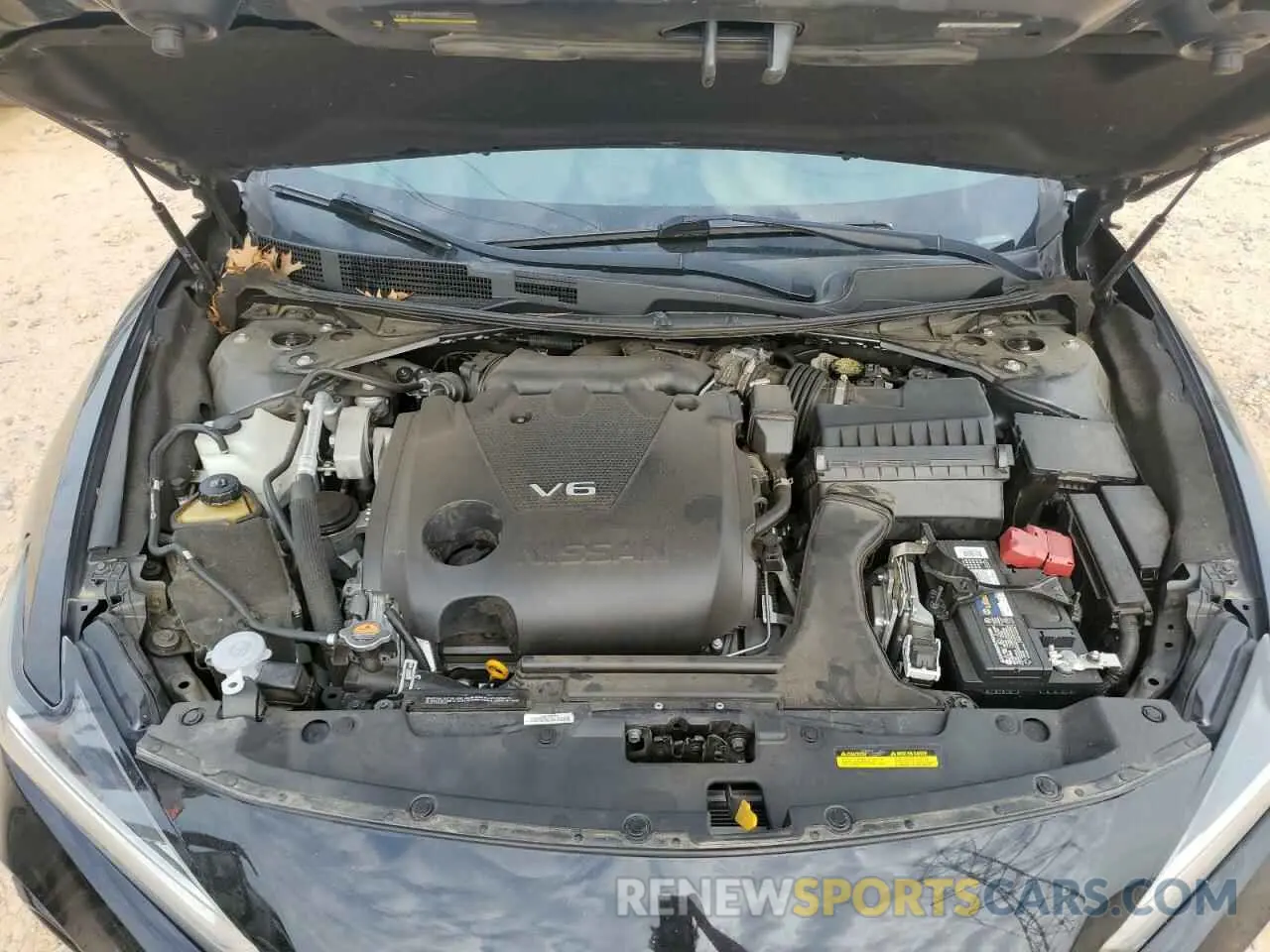 11 Photograph of a damaged car 1N4AA6AV5KC366719 NISSAN MAXIMA 2019