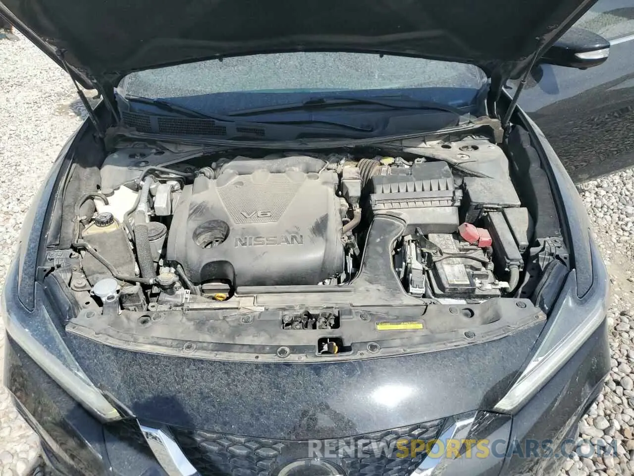 13 Фотография поврежденного автомобиля 1N4AA6AV5KC367028 NISSAN MAXIMA 2019