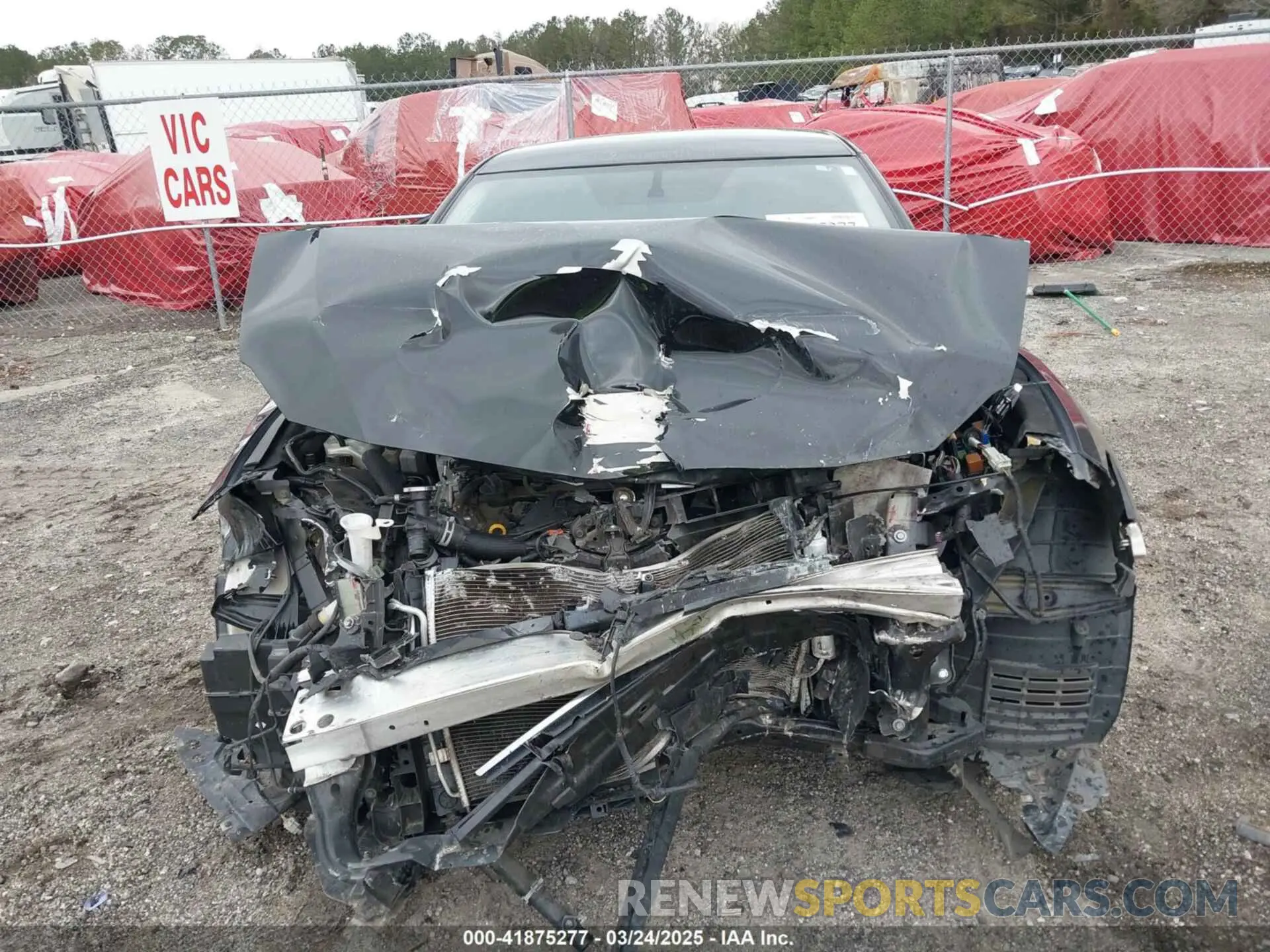 12 Photograph of a damaged car 1N4AA6AV5KC371760 NISSAN MAXIMA 2019