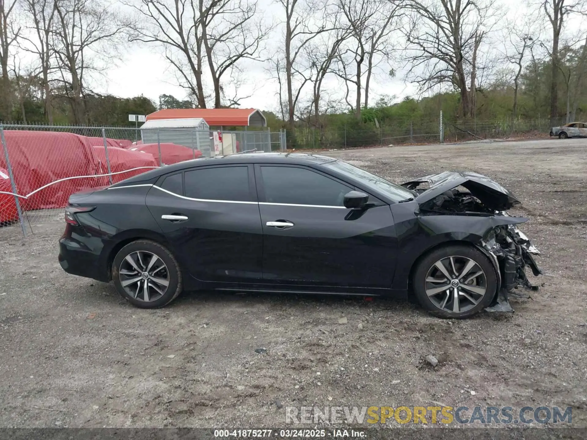 13 Photograph of a damaged car 1N4AA6AV5KC371760 NISSAN MAXIMA 2019