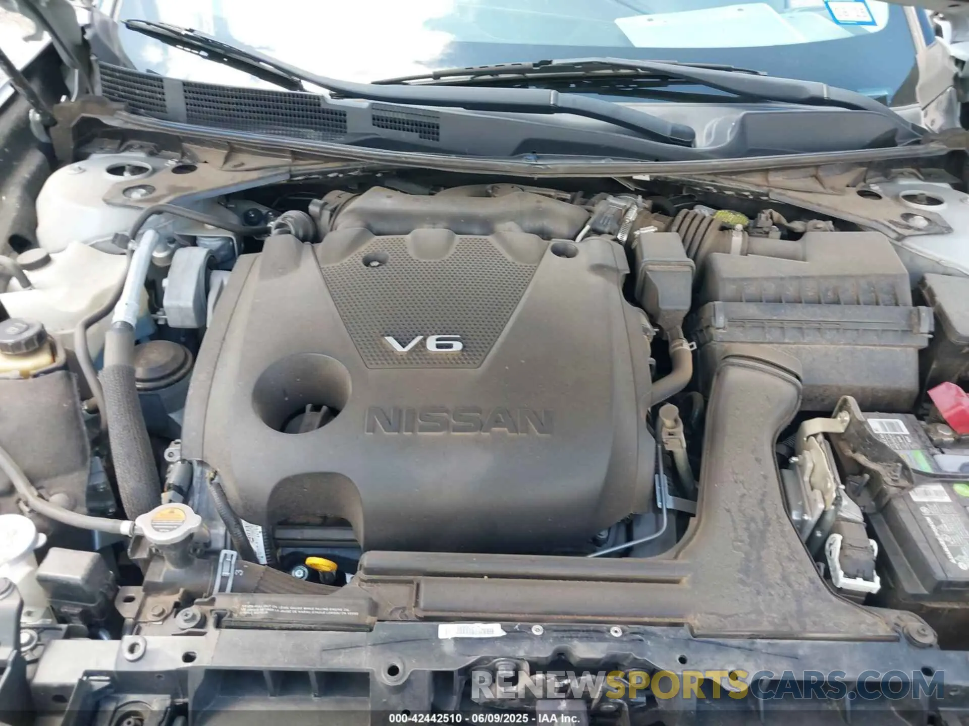 10 Photograph of a damaged car 1N4AA6AV5KC374738 NISSAN MAXIMA 2019