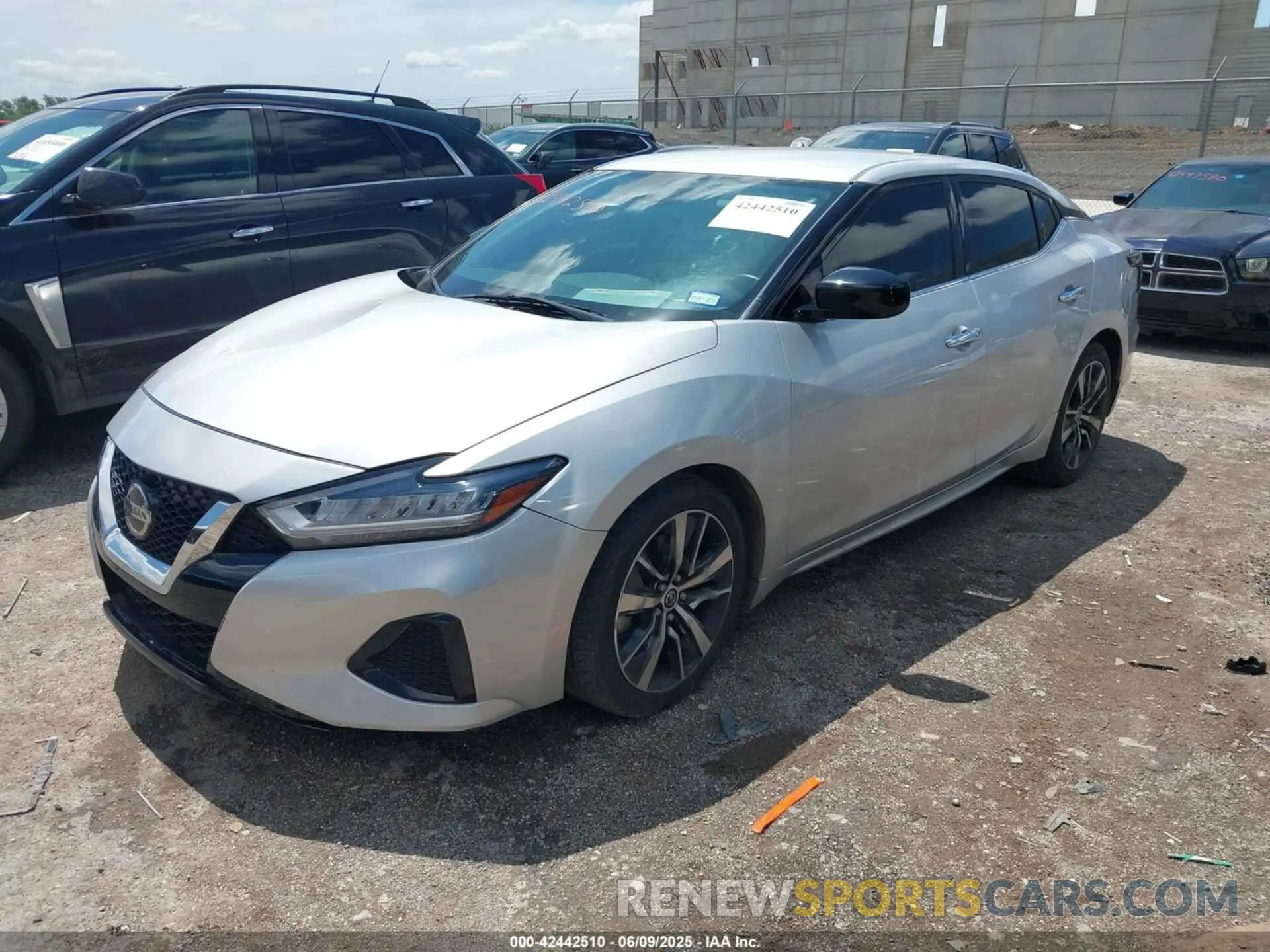2 Photograph of a damaged car 1N4AA6AV5KC374738 NISSAN MAXIMA 2019