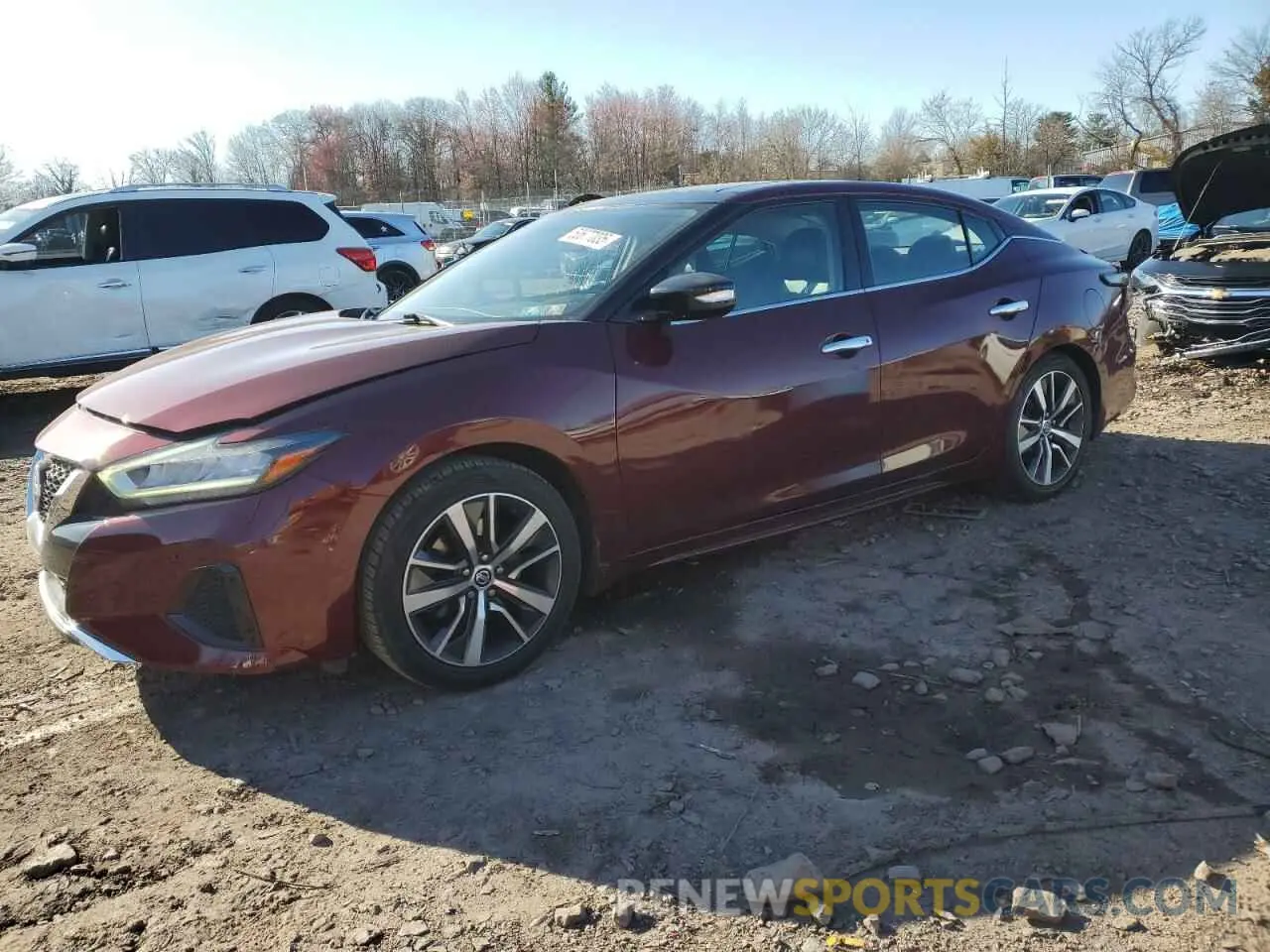 1 Photograph of a damaged car 1N4AA6AV5KC375520 NISSAN MAXIMA 2019