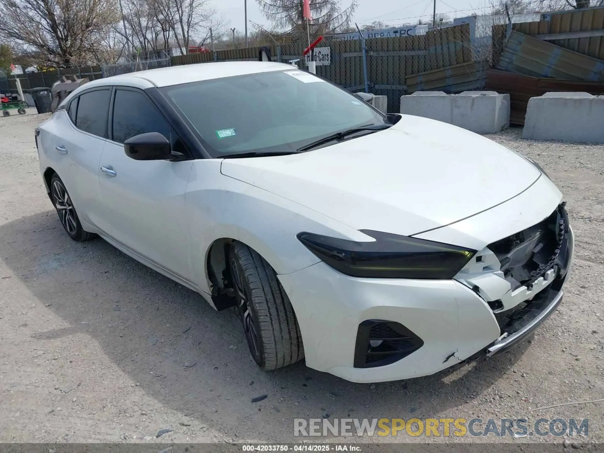 1 Фотография поврежденного автомобиля 1N4AA6AV5KC384217 NISSAN MAXIMA 2019