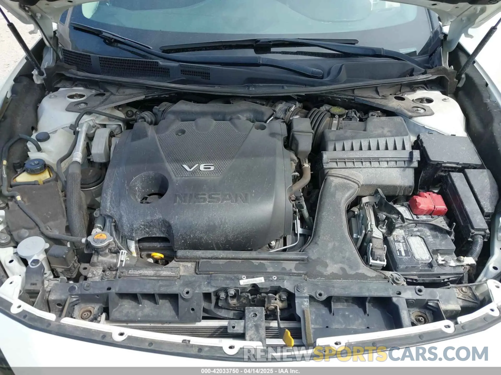 10 Фотография поврежденного автомобиля 1N4AA6AV5KC384217 NISSAN MAXIMA 2019
