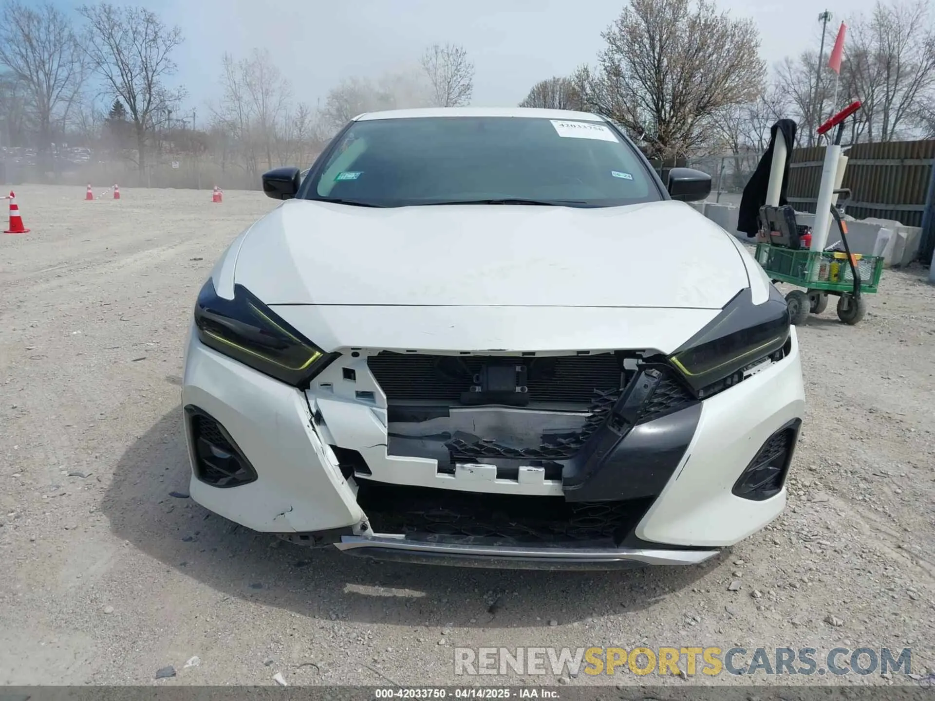 12 Фотография поврежденного автомобиля 1N4AA6AV5KC384217 NISSAN MAXIMA 2019