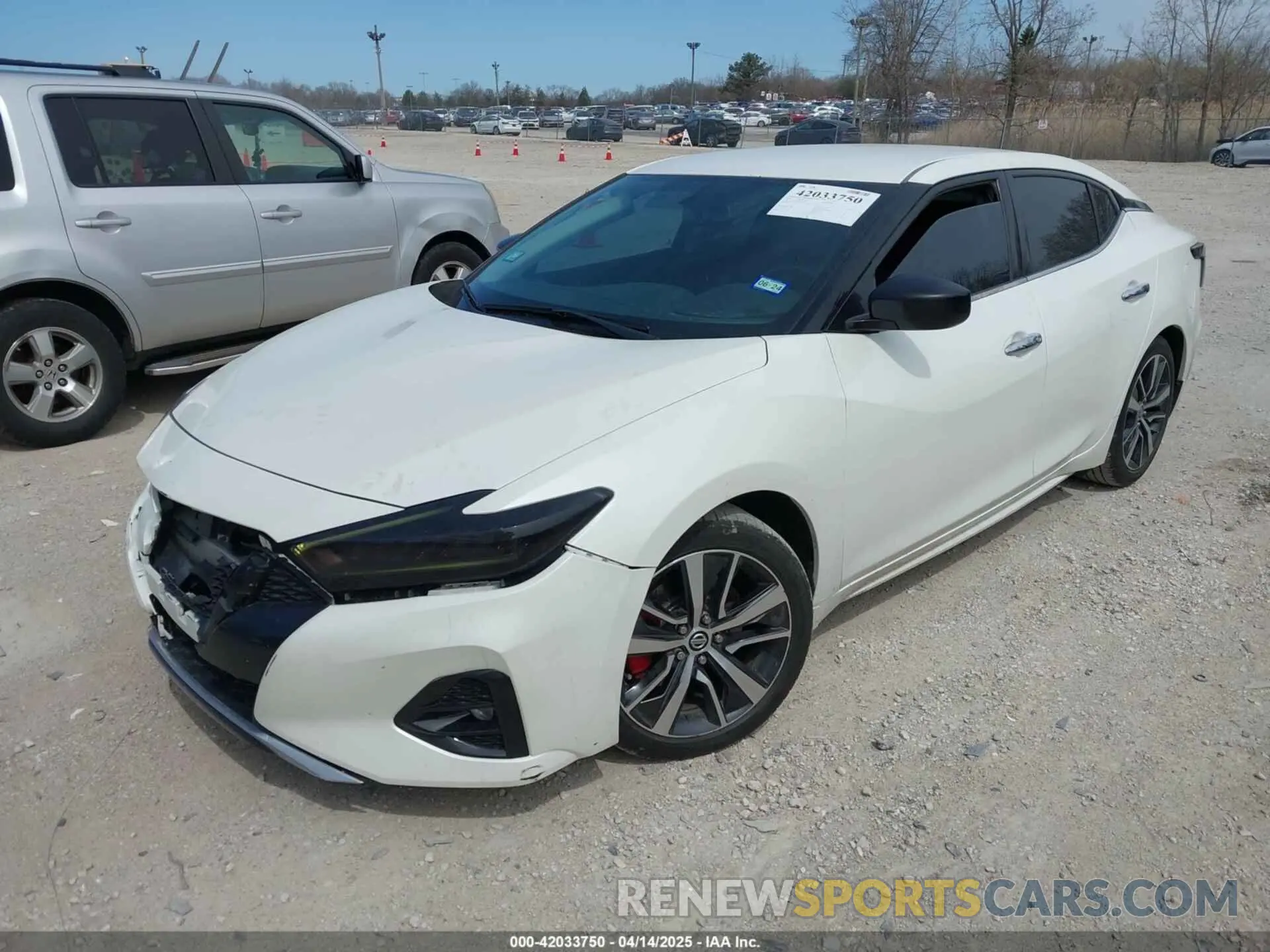 2 Фотография поврежденного автомобиля 1N4AA6AV5KC384217 NISSAN MAXIMA 2019