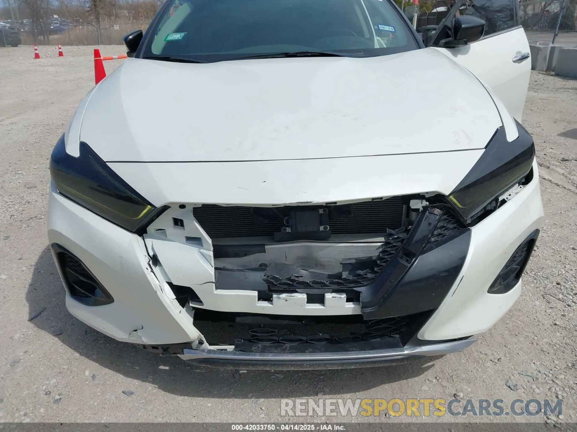 6 Фотография поврежденного автомобиля 1N4AA6AV5KC384217 NISSAN MAXIMA 2019