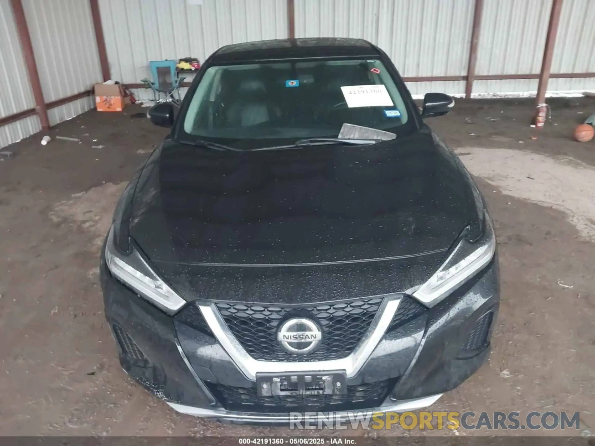 12 Фотография поврежденного автомобиля 1N4AA6AV6KC365031 NISSAN MAXIMA 2019
