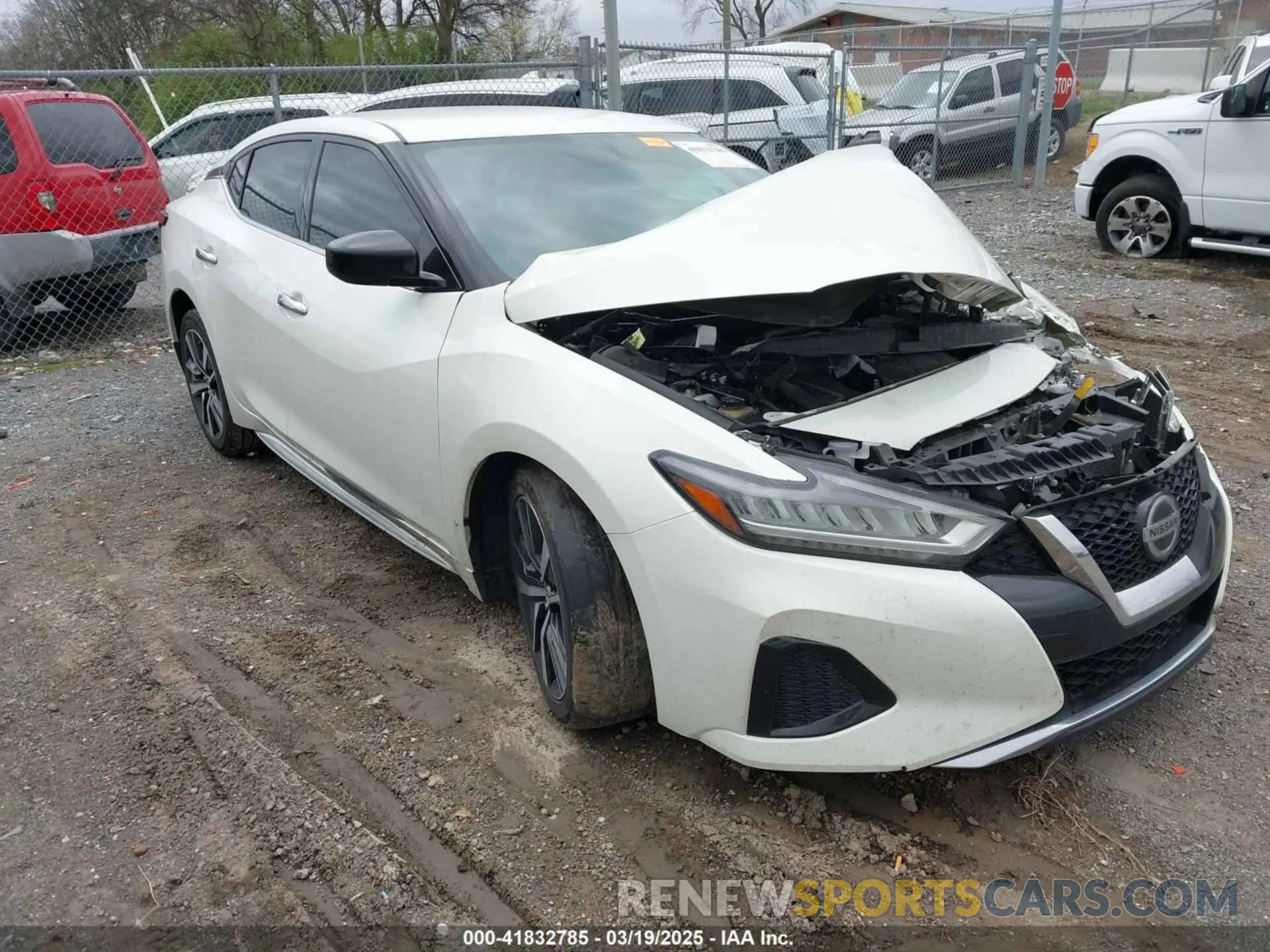 1 Фотография поврежденного автомобиля 1N4AA6AV6KC370178 NISSAN MAXIMA 2019