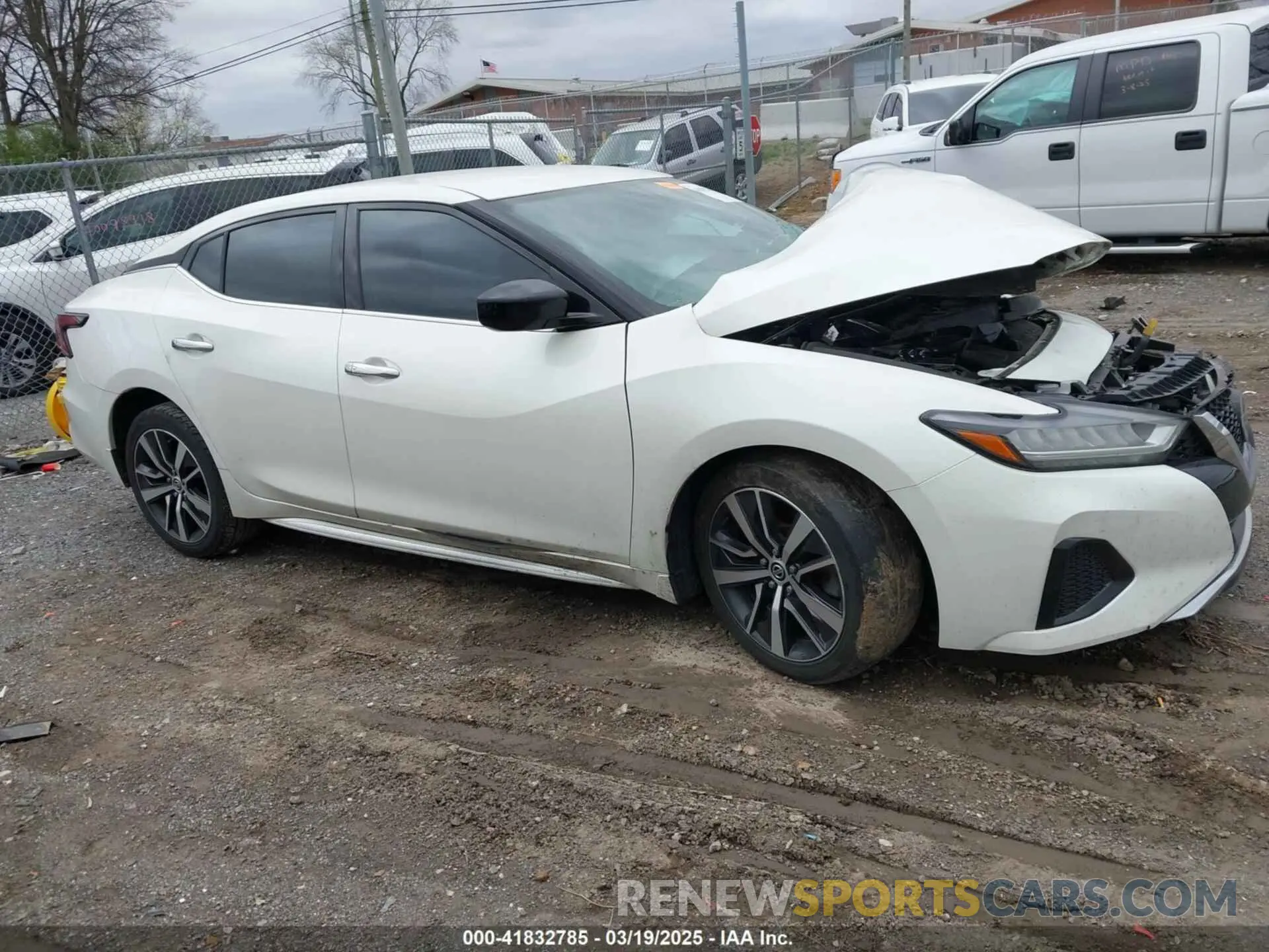 13 Фотография поврежденного автомобиля 1N4AA6AV6KC370178 NISSAN MAXIMA 2019