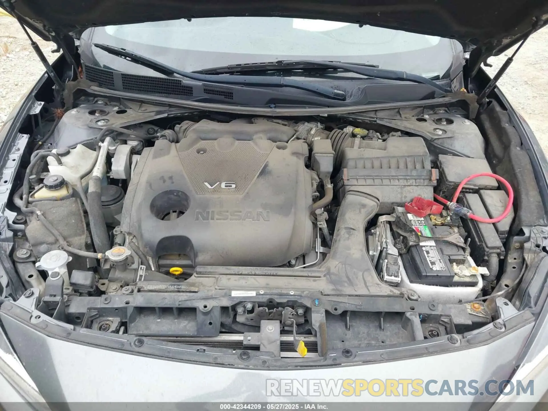 10 Photograph of a damaged car 1N4AA6AV6KC371850 NISSAN MAXIMA 2019