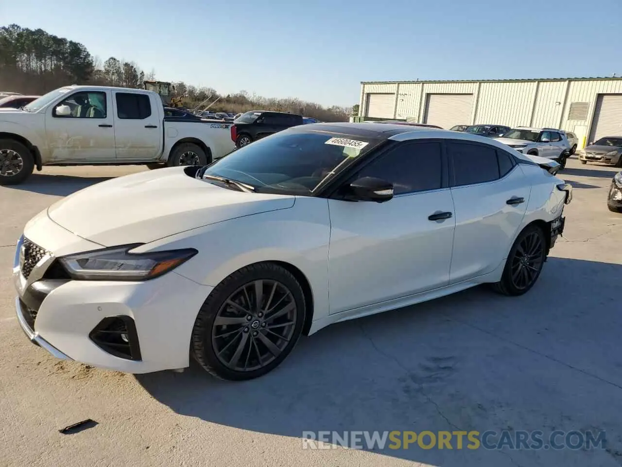 1 Фотография поврежденного автомобиля 1N4AA6AV6KC383738 NISSAN MAXIMA 2019