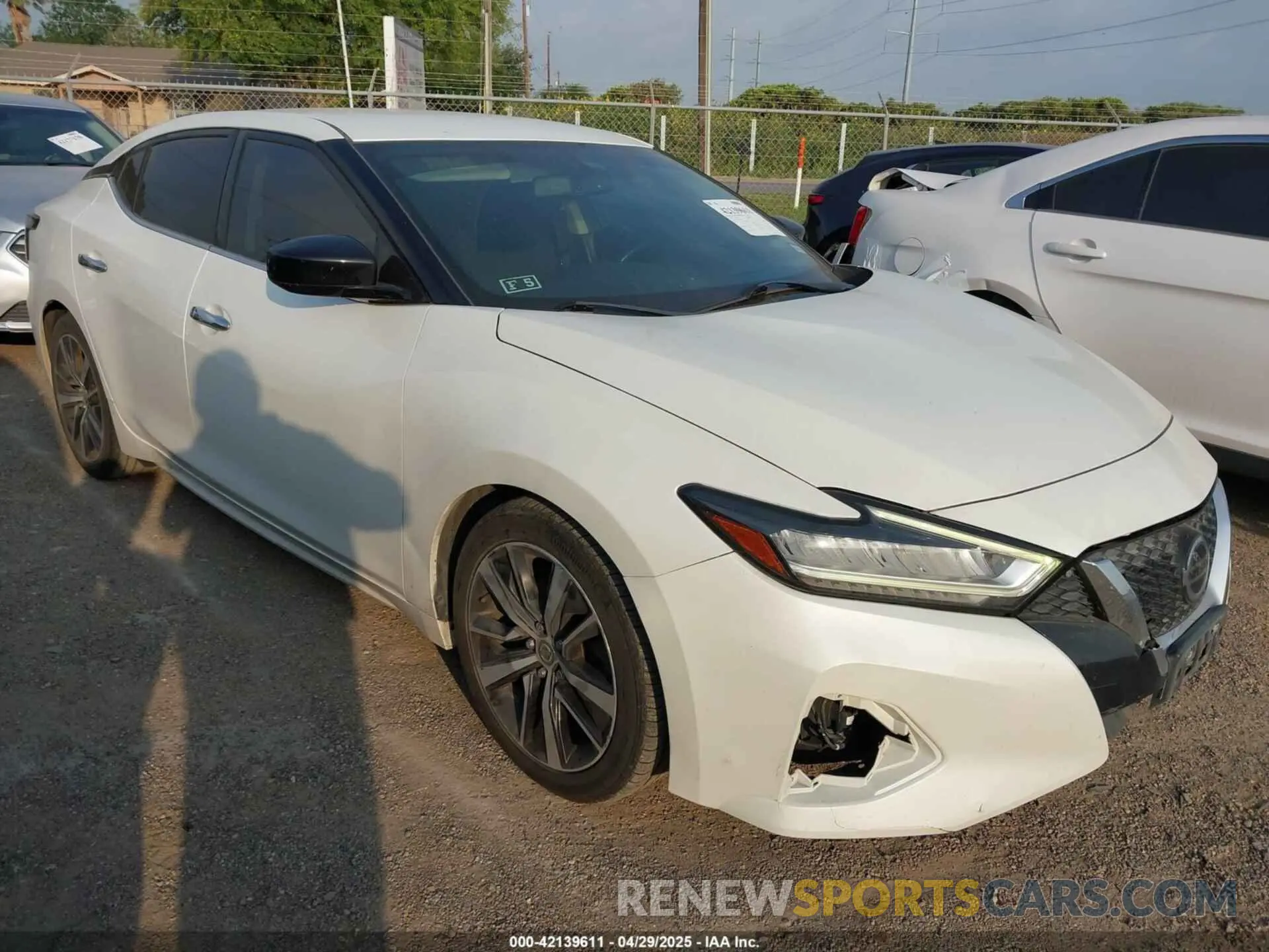 1 Photograph of a damaged car 1N4AA6AV7KC365653 NISSAN MAXIMA 2019