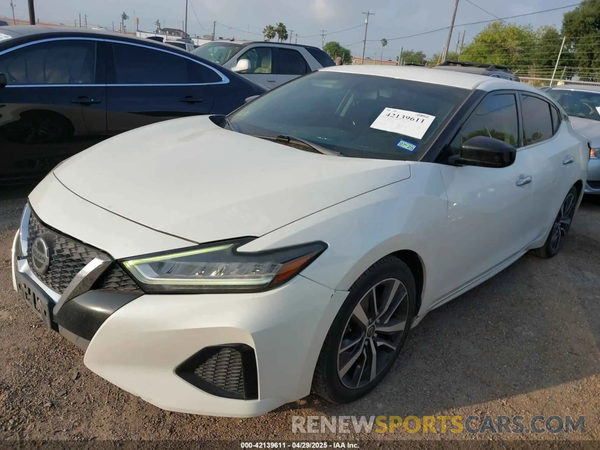 2 Photograph of a damaged car 1N4AA6AV7KC365653 NISSAN MAXIMA 2019