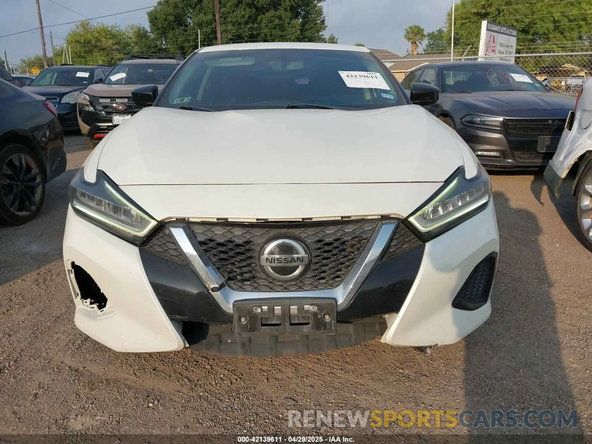 6 Photograph of a damaged car 1N4AA6AV7KC365653 NISSAN MAXIMA 2019