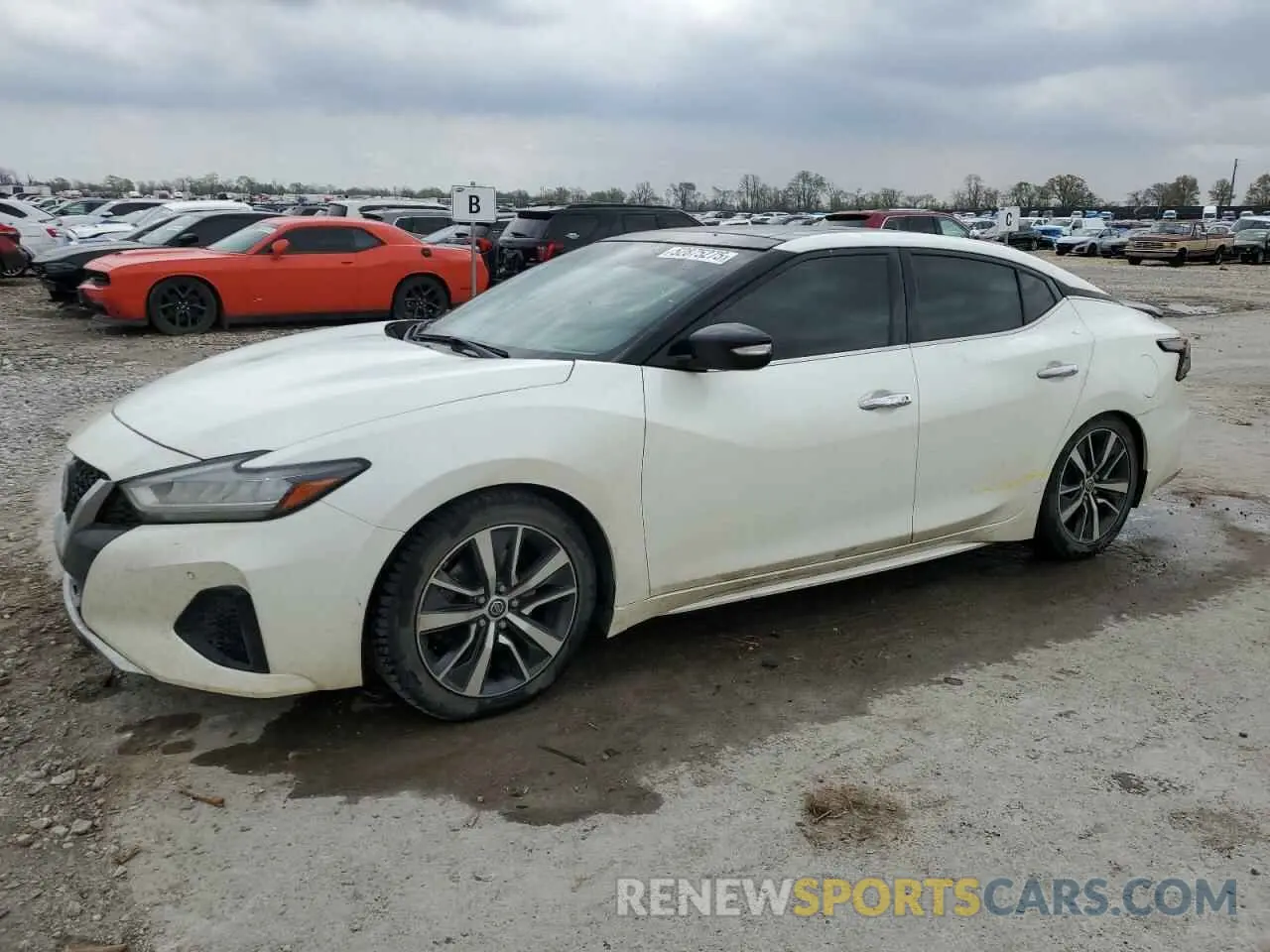 1 Photograph of a damaged car 1N4AA6AV7KC372540 NISSAN MAXIMA 2019