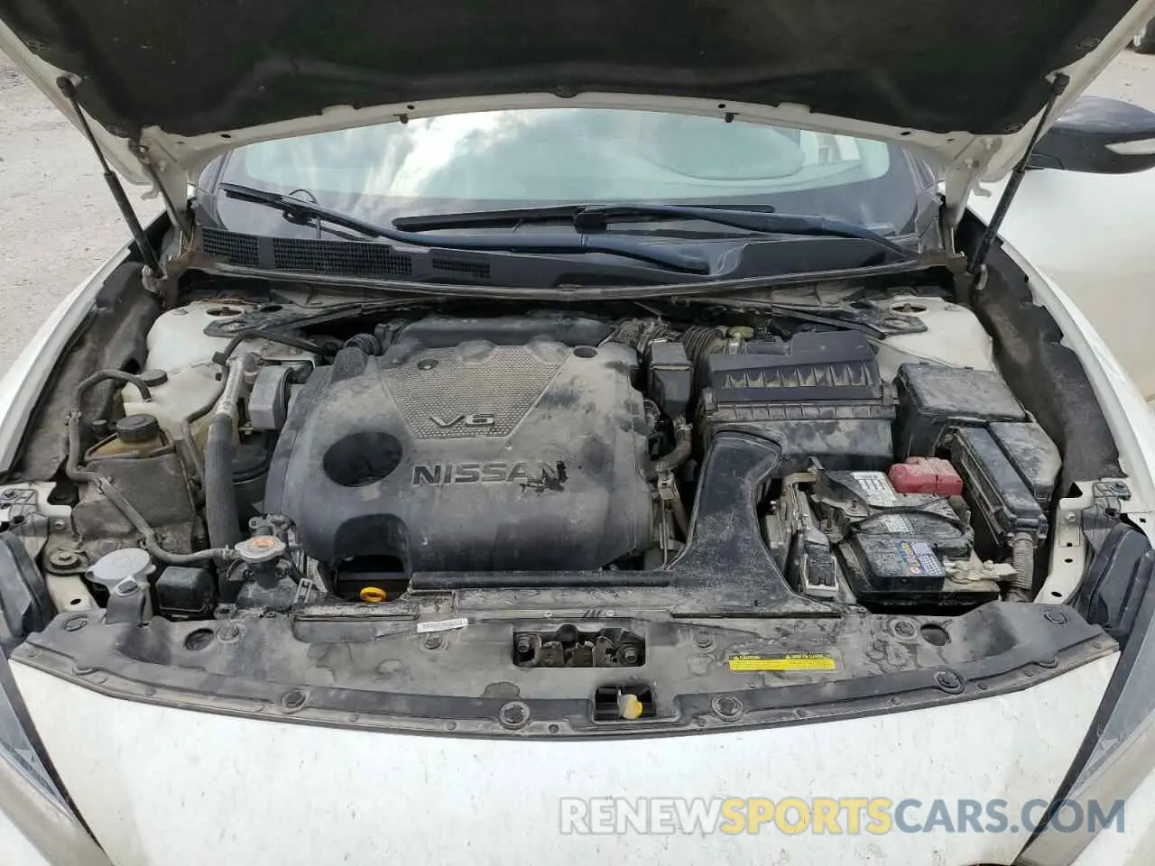 12 Photograph of a damaged car 1N4AA6AV7KC372540 NISSAN MAXIMA 2019