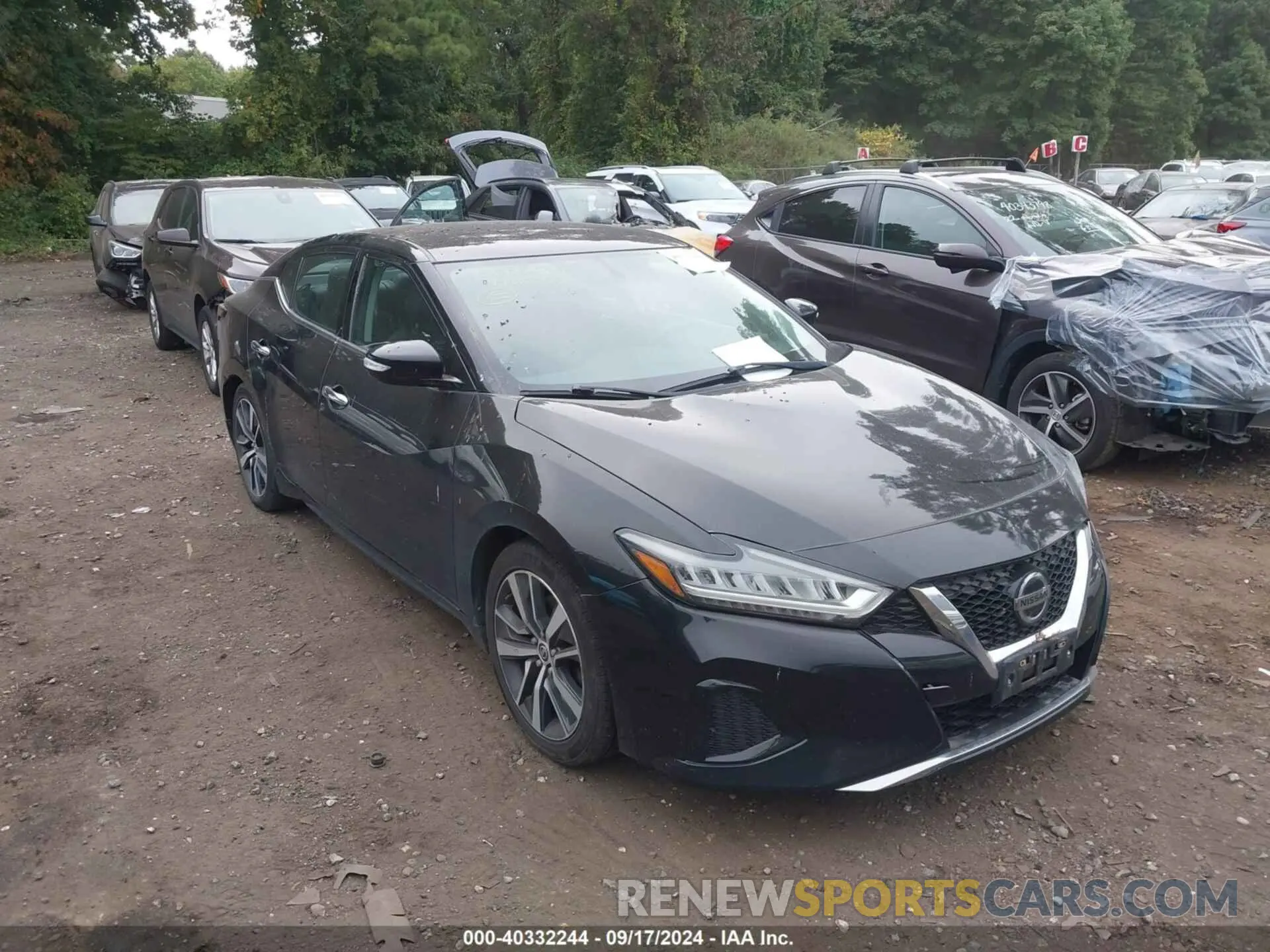 1 Фотография поврежденного автомобиля 1N4AA6AV7KC380668 NISSAN MAXIMA 2019