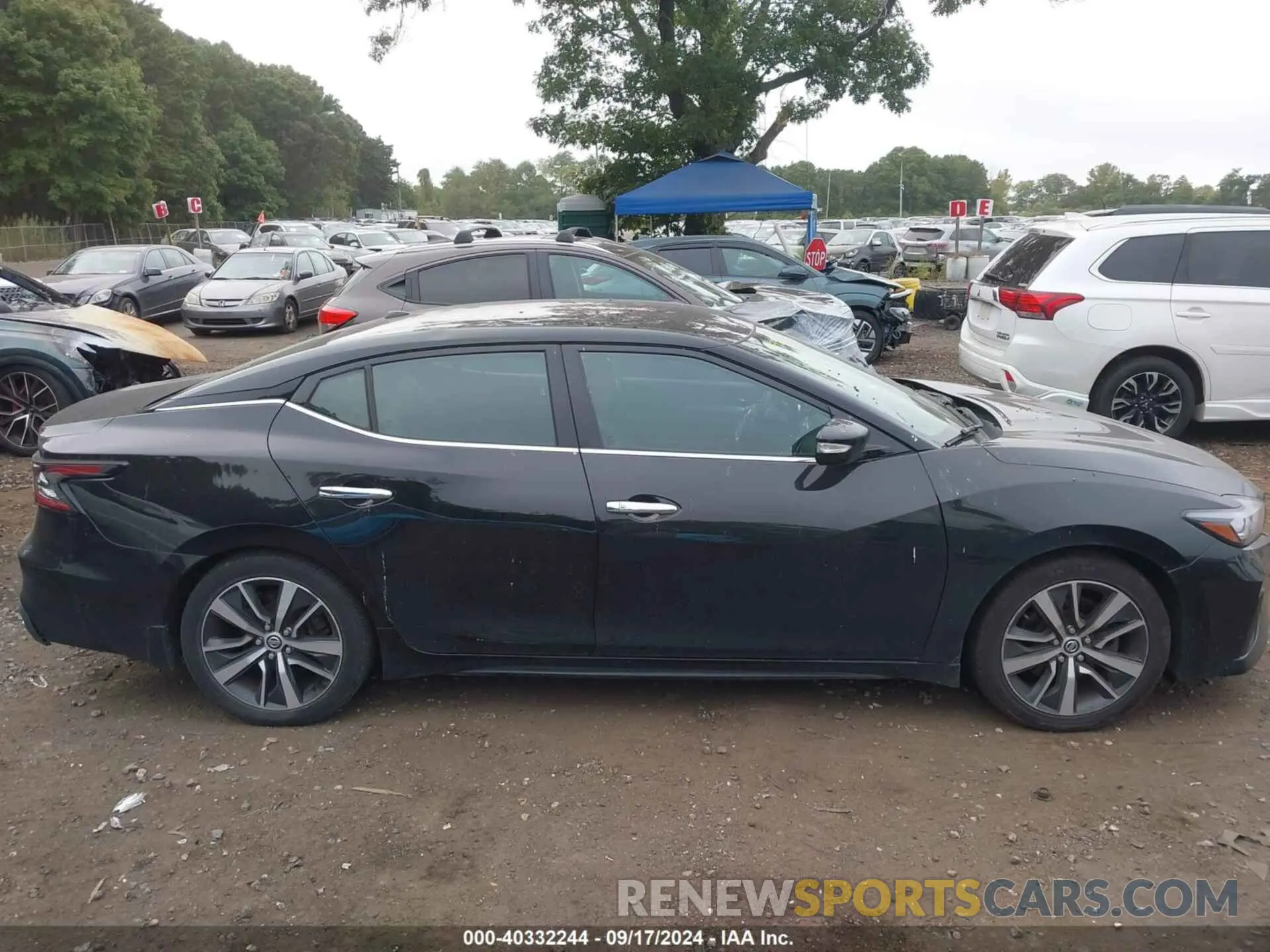 13 Фотография поврежденного автомобиля 1N4AA6AV7KC380668 NISSAN MAXIMA 2019