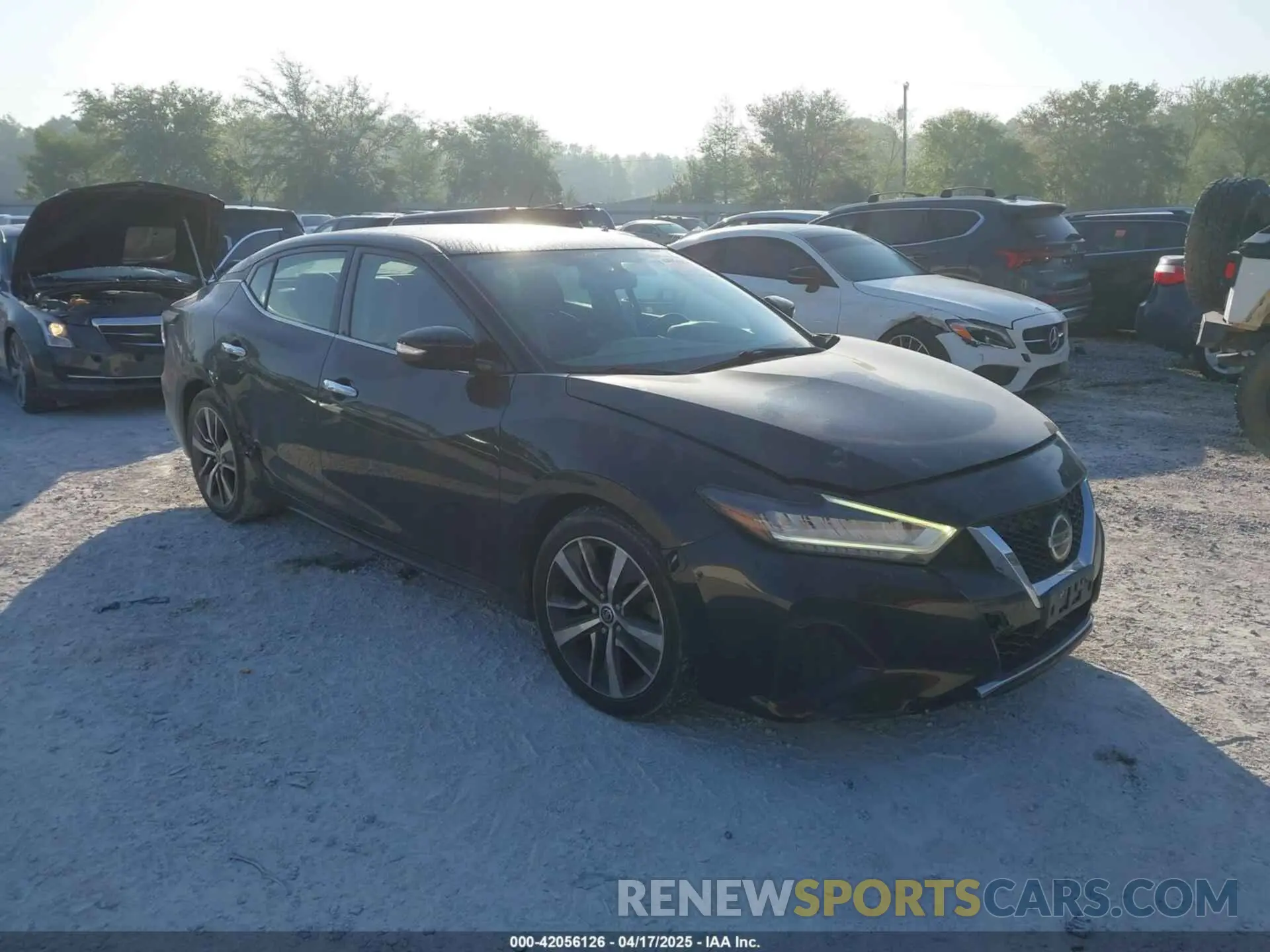 1 Фотография поврежденного автомобиля 1N4AA6AV8KC376936 NISSAN MAXIMA 2019