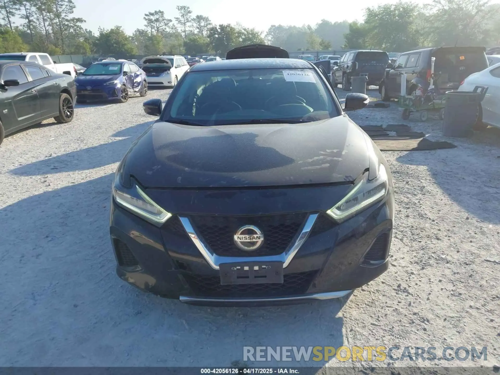12 Фотография поврежденного автомобиля 1N4AA6AV8KC376936 NISSAN MAXIMA 2019